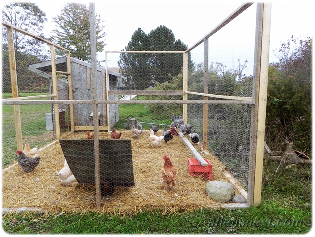 coop run built last year