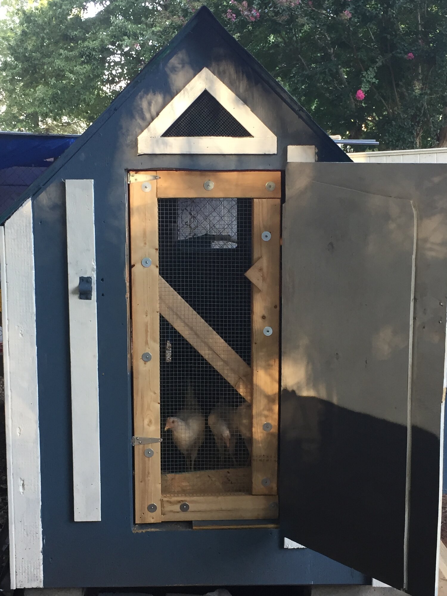 Coop screen door