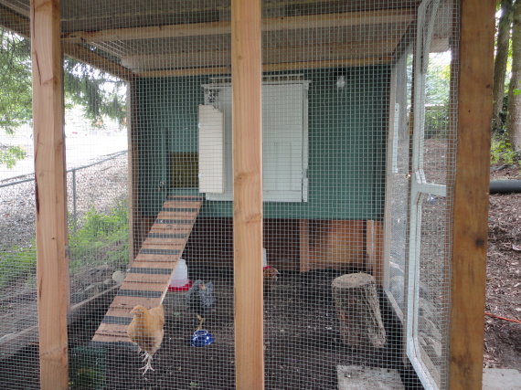 Coop side