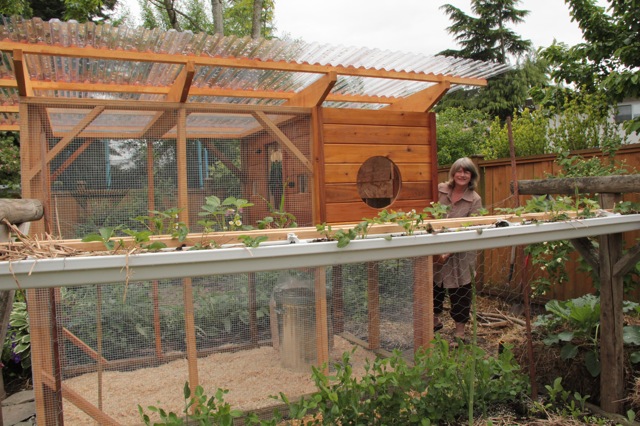Coop & strawberry troughs!