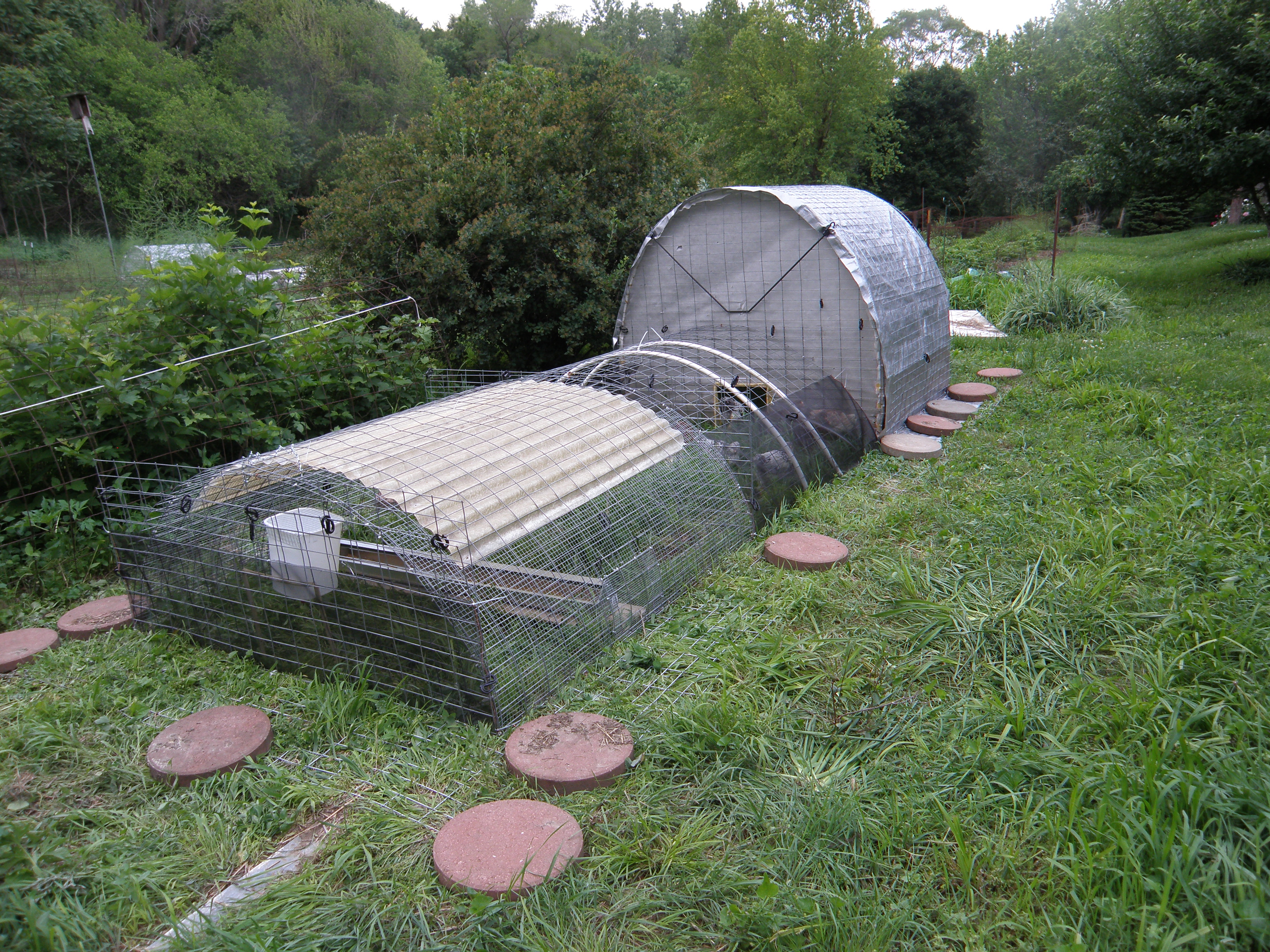 Coop , watering station, feeding station with end section made with a 2x5'' vertical end piece with an 88"x14" predator guard attached