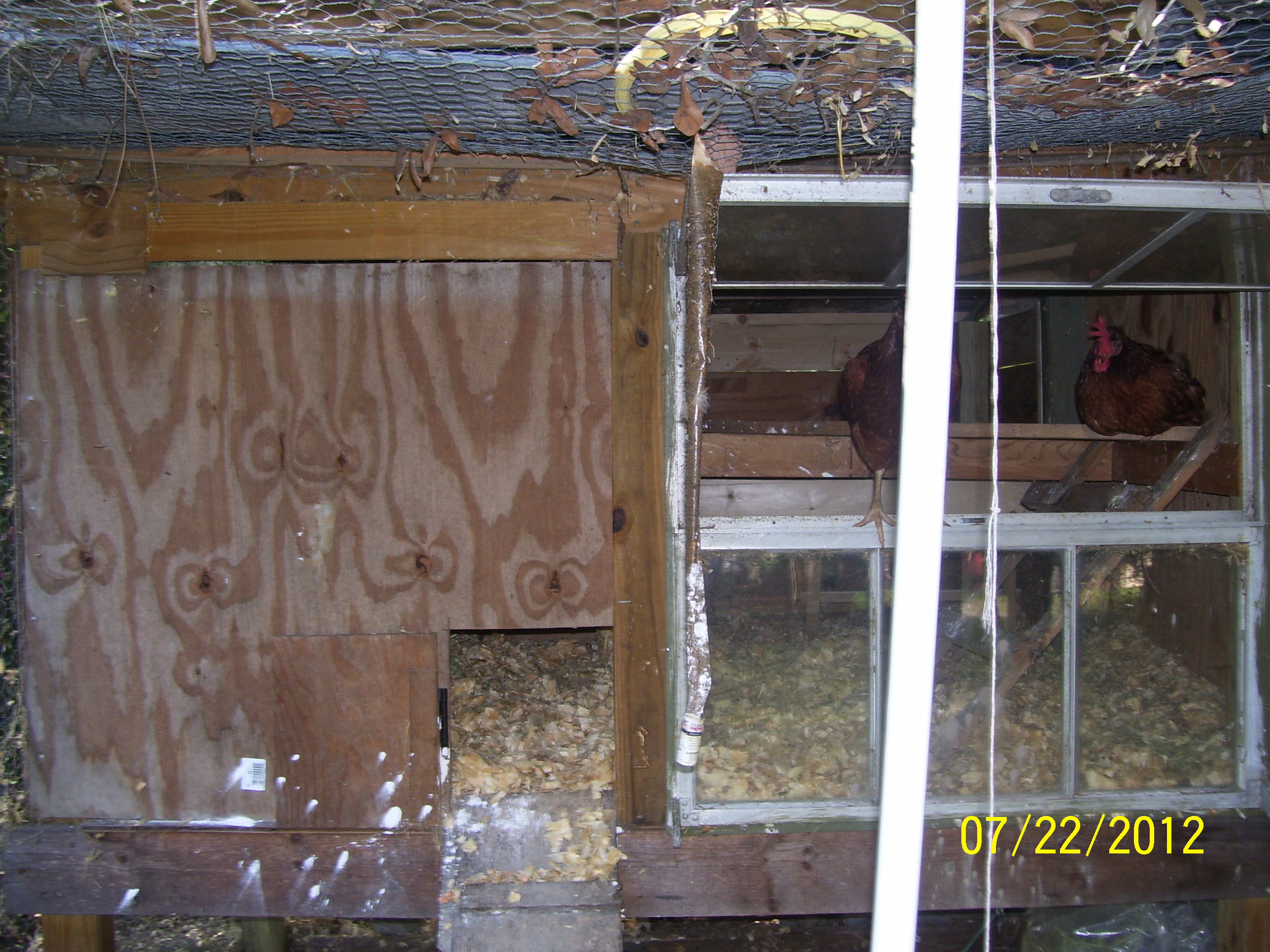 Coop with a window and entrance