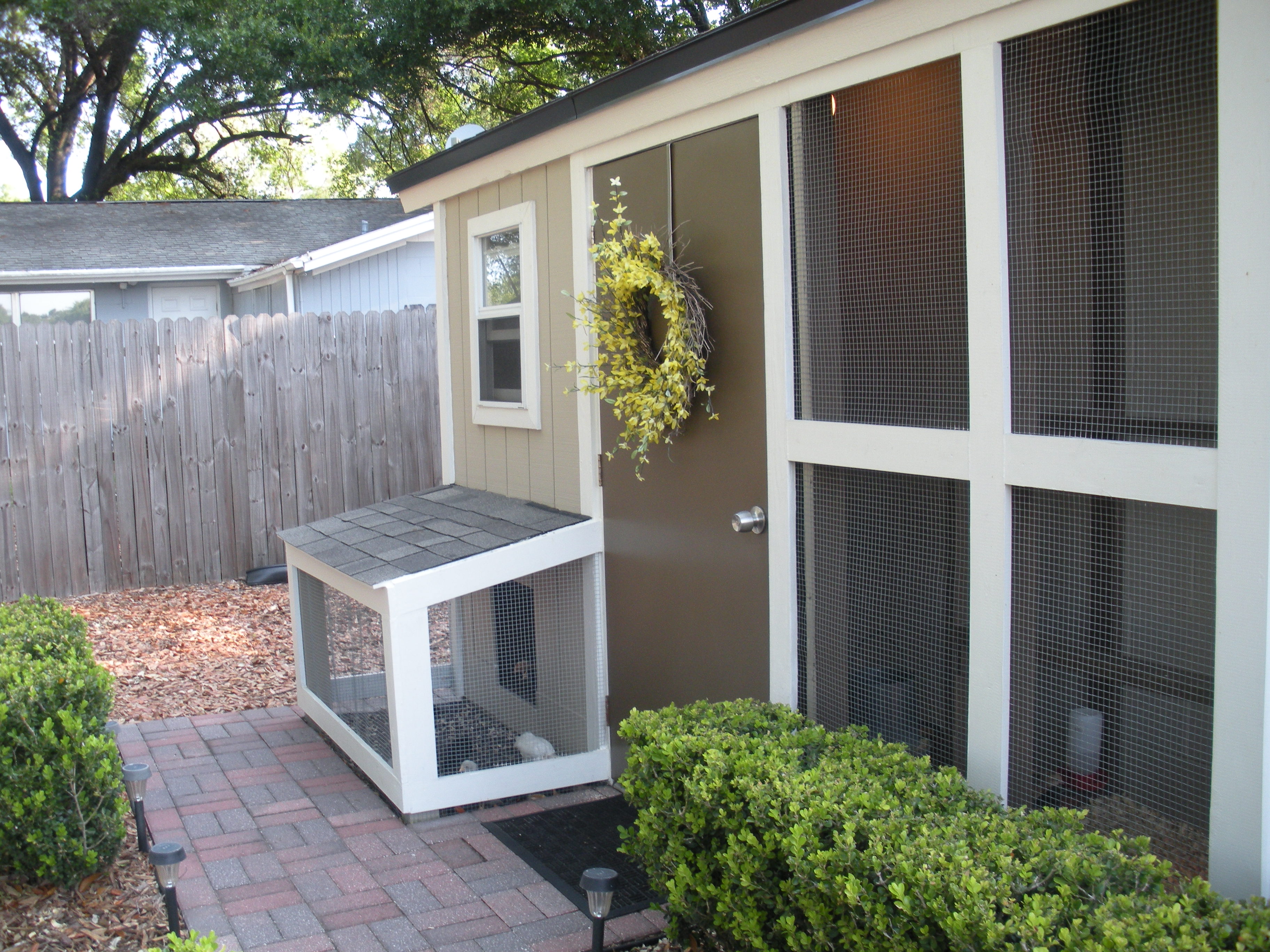 Coop with new addition finished