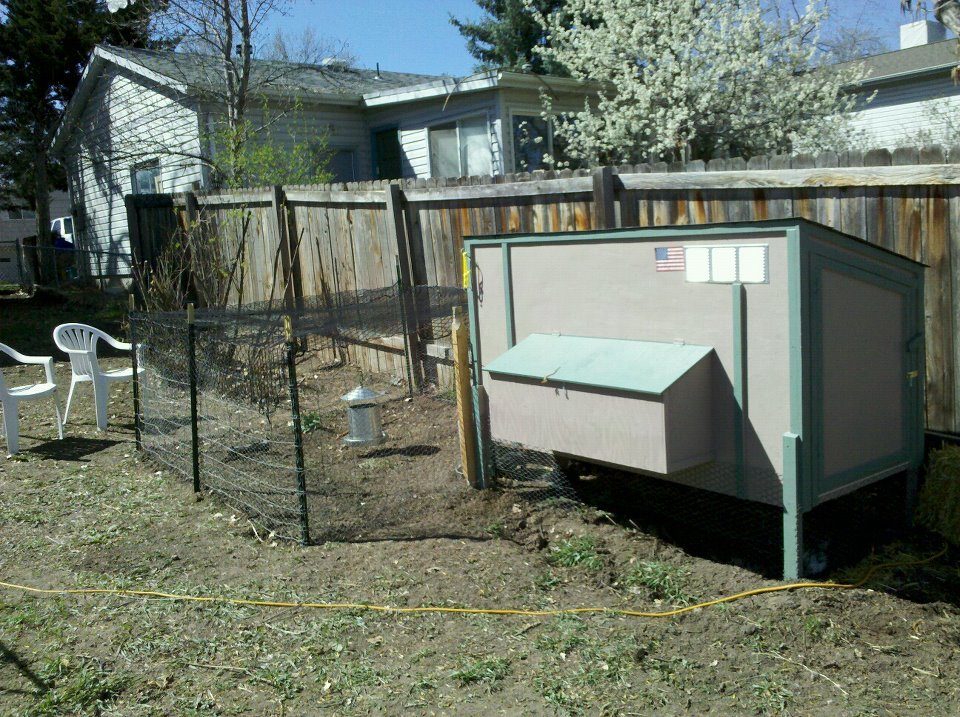 Coop with small run before we built our enclosure