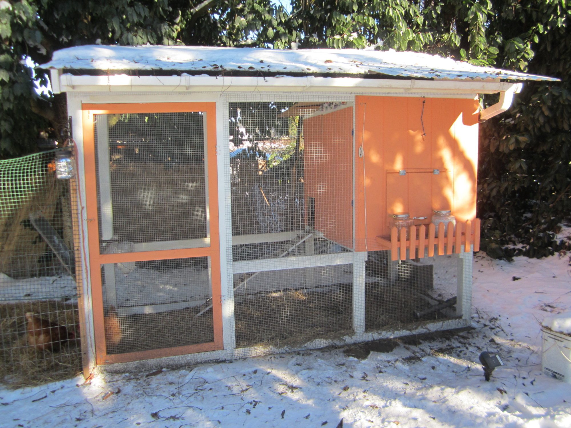 Coop with the shelf on it in front of the nest box access door