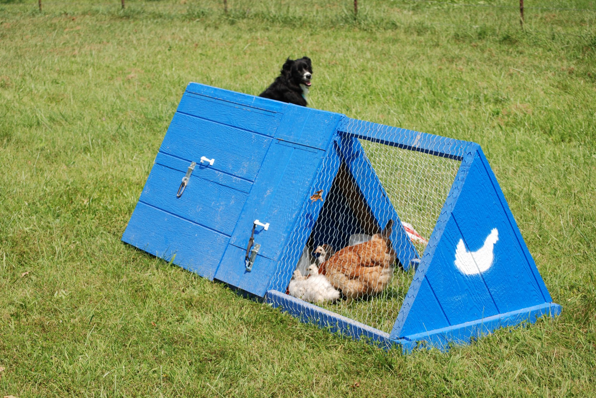 coop2