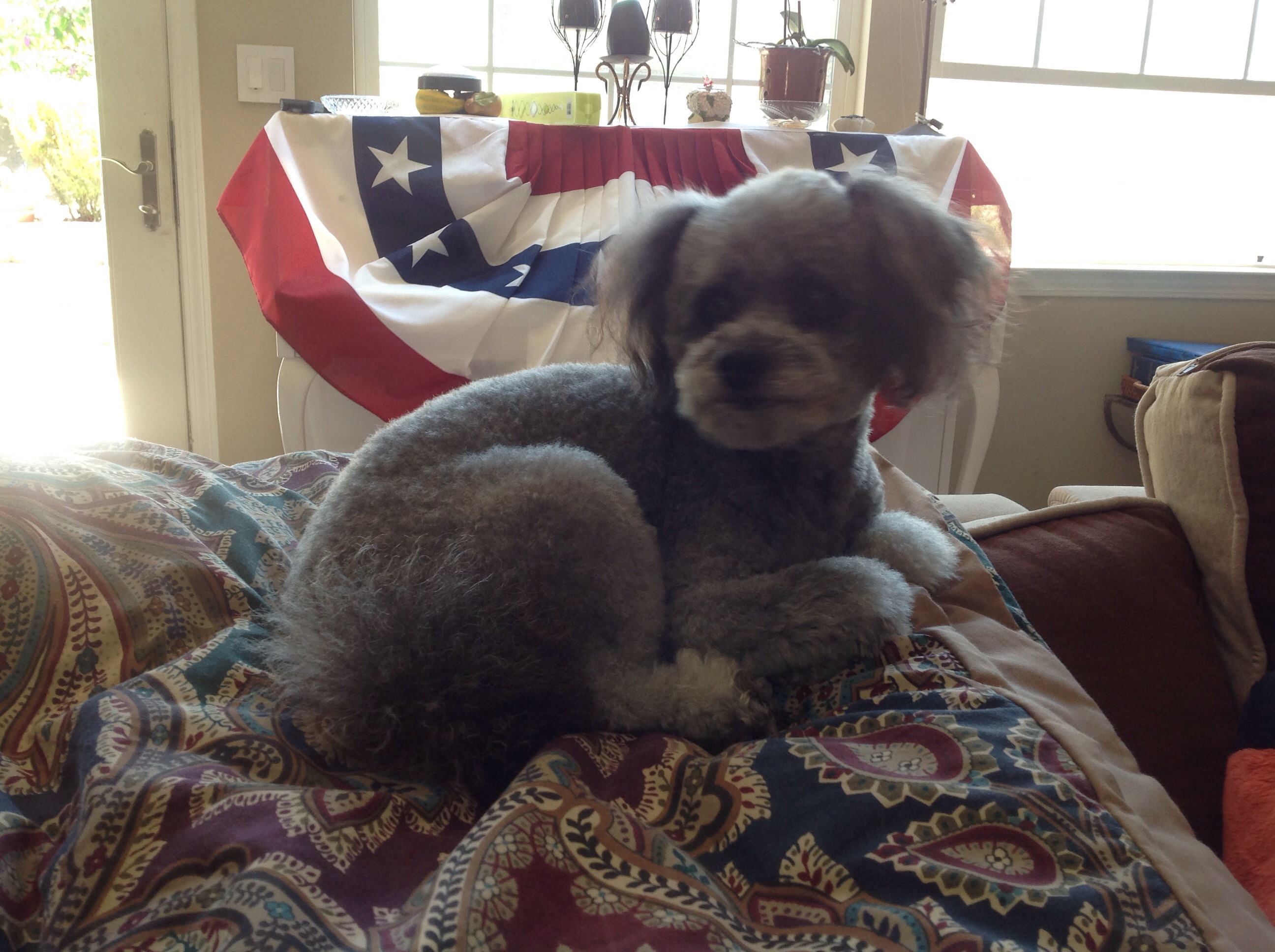 Cooper