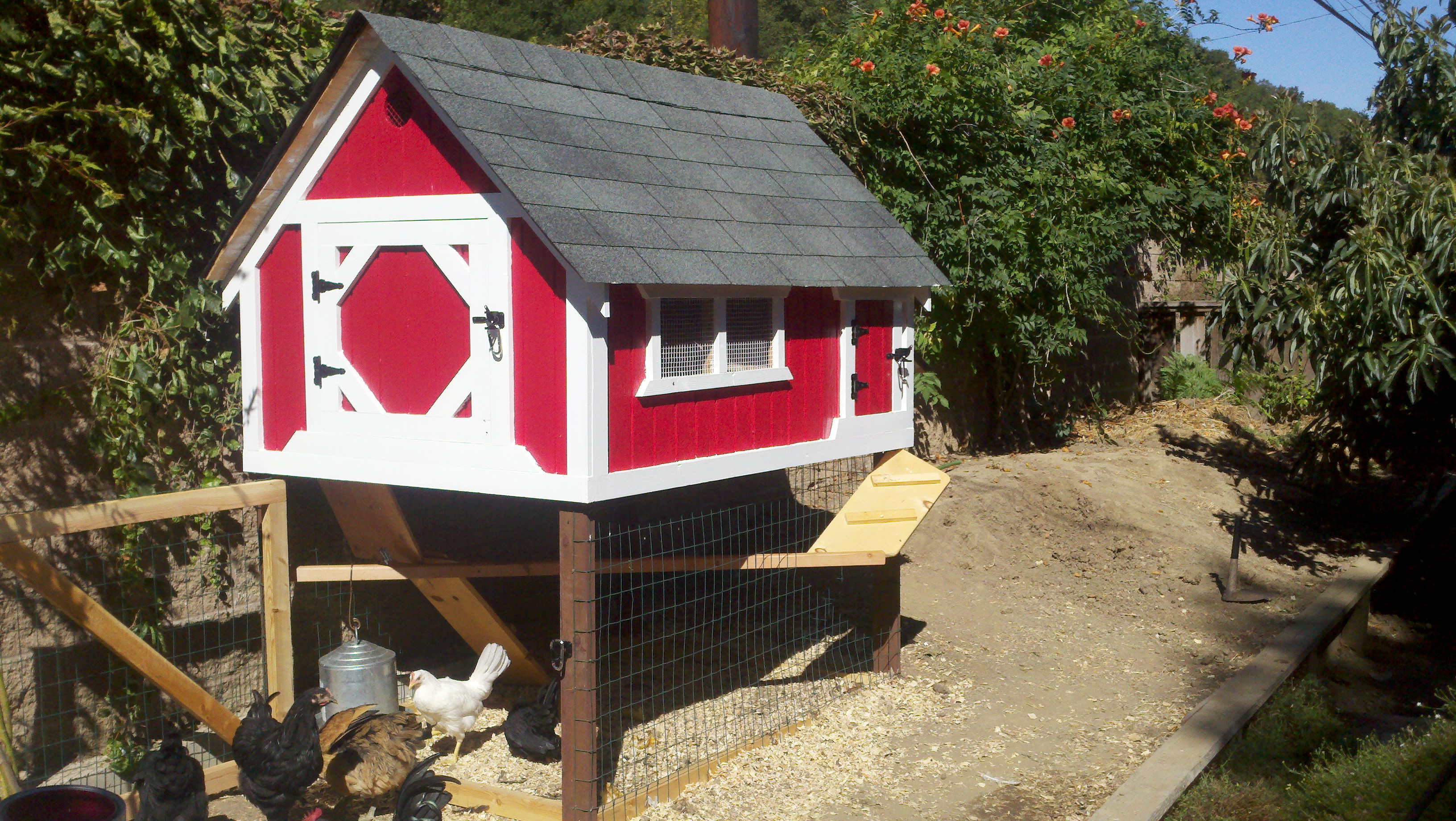 Coops 1st Year Design.