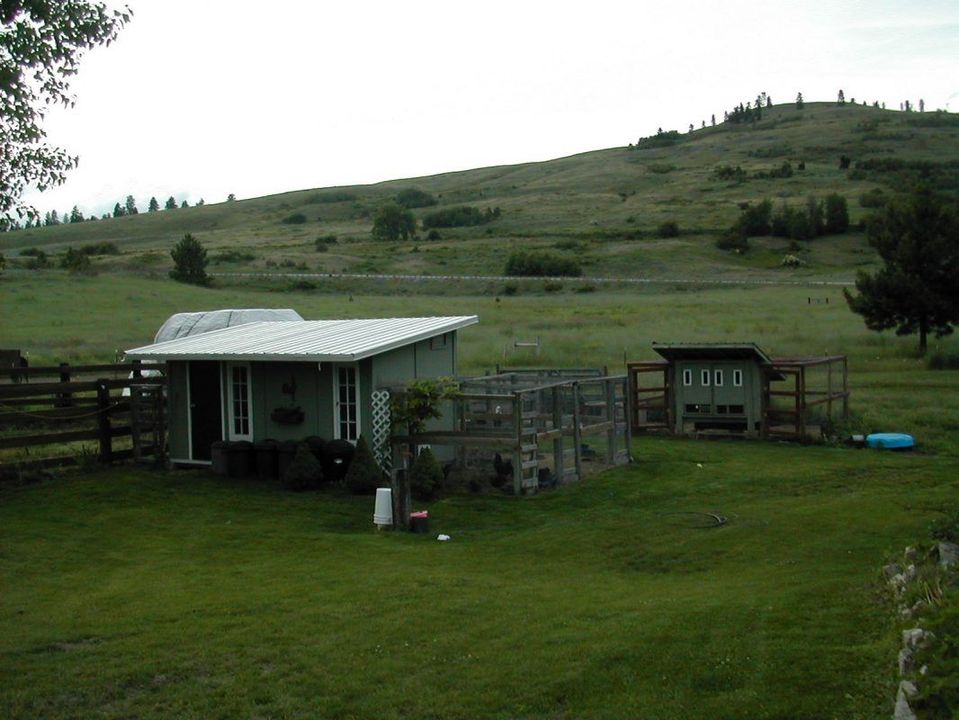 Coops, facing north
