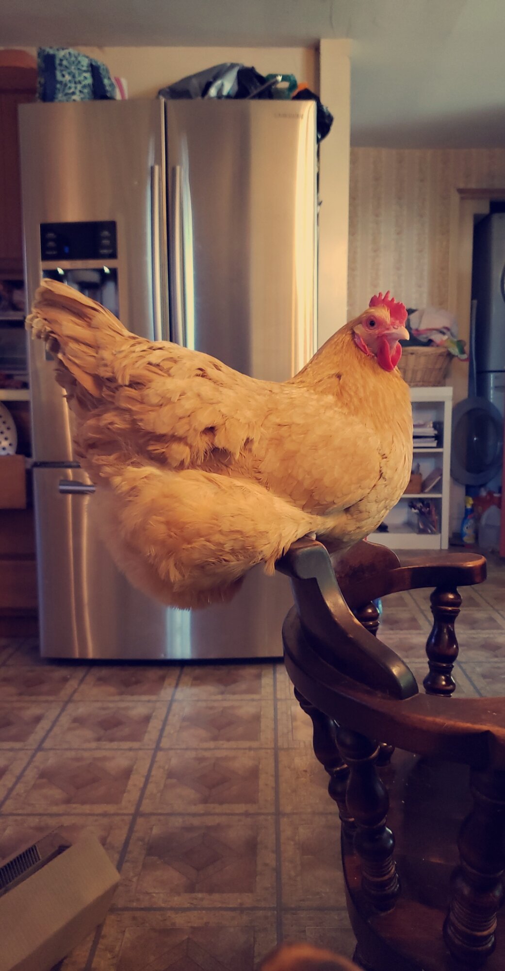 Corey in the Kitchen