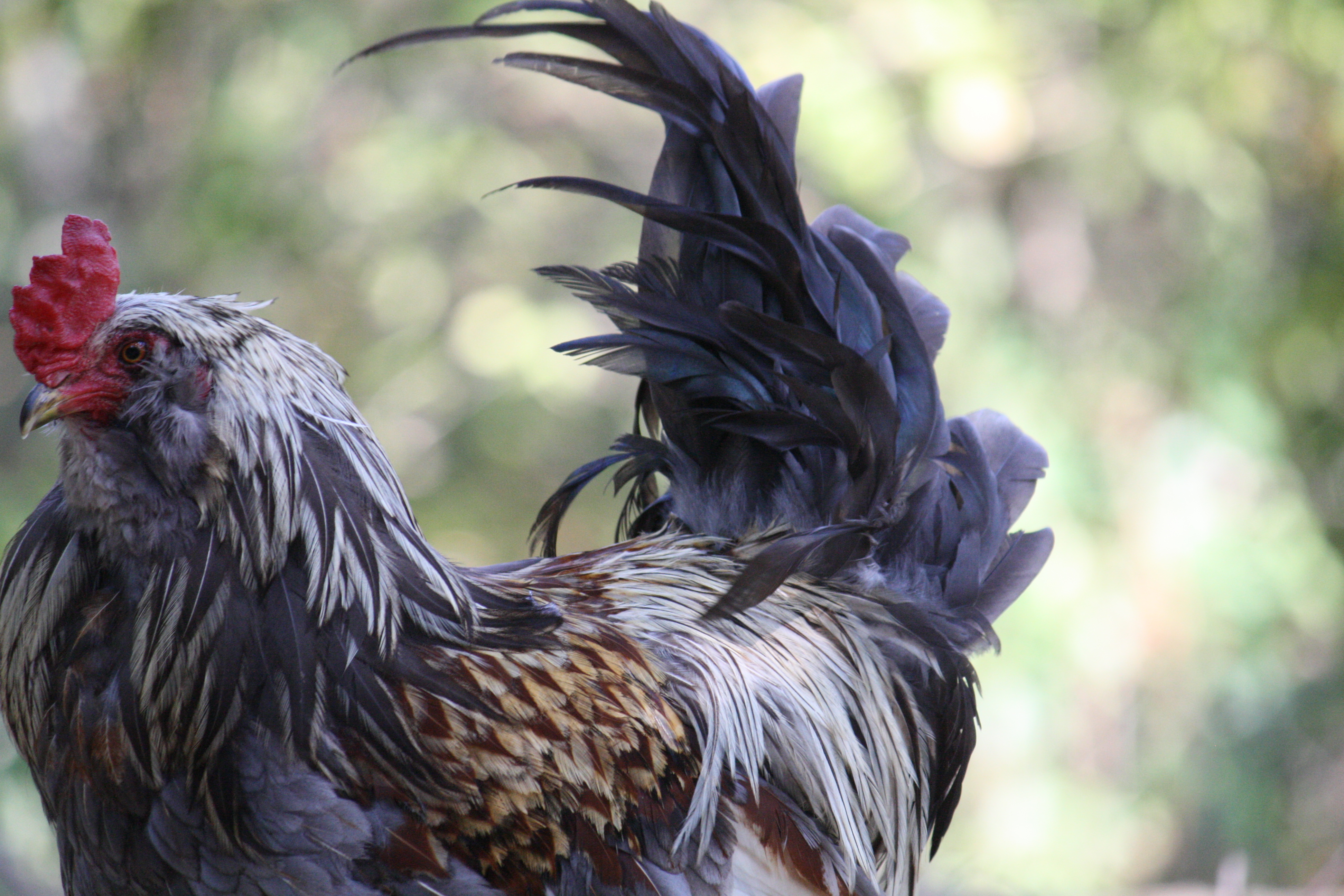 Corey, my big boy! Lookin' a little windblown here...x)