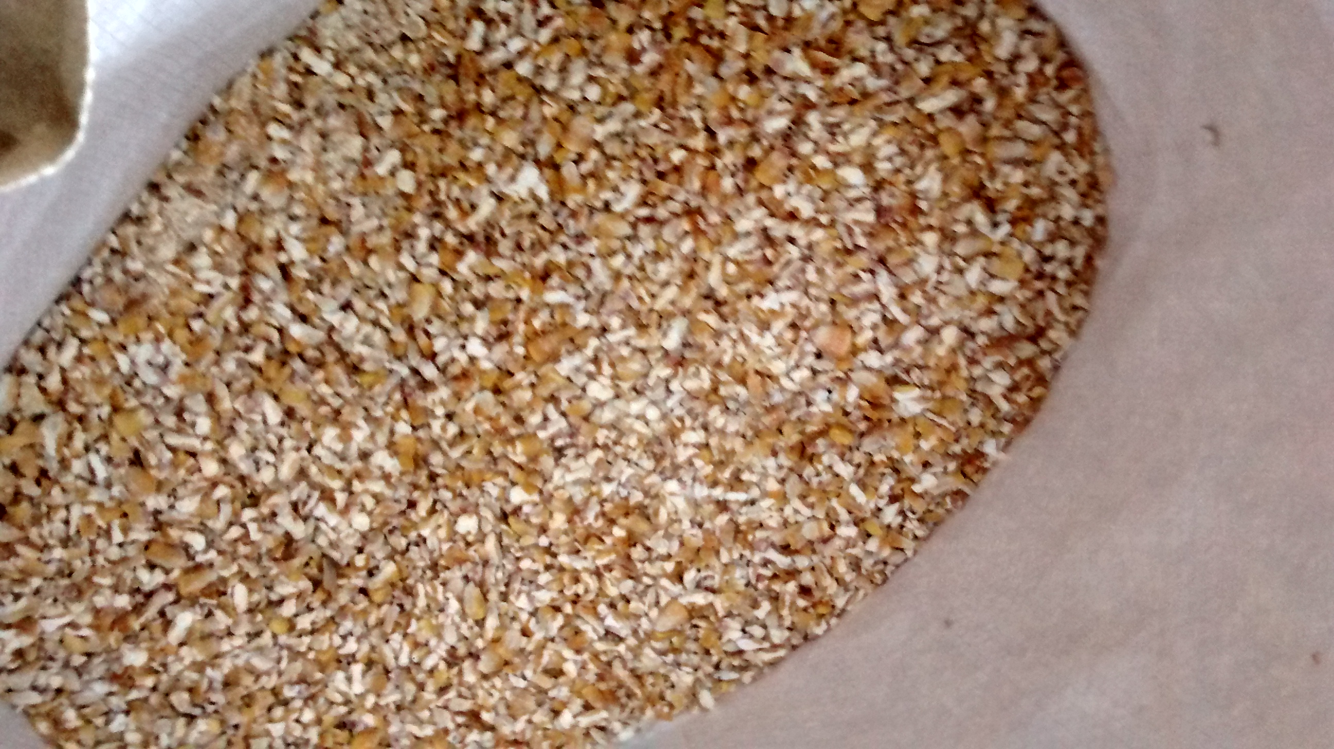 Corn