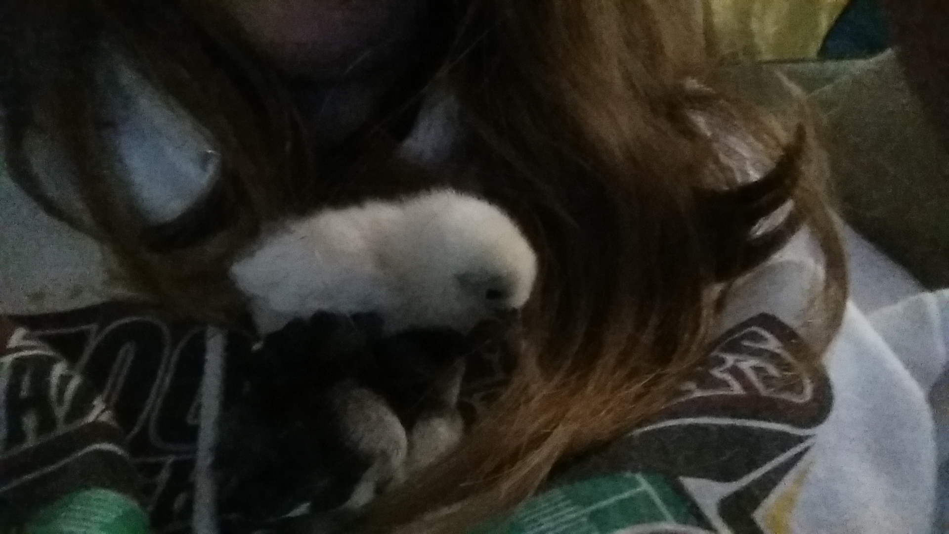 Cotton ball and peepers