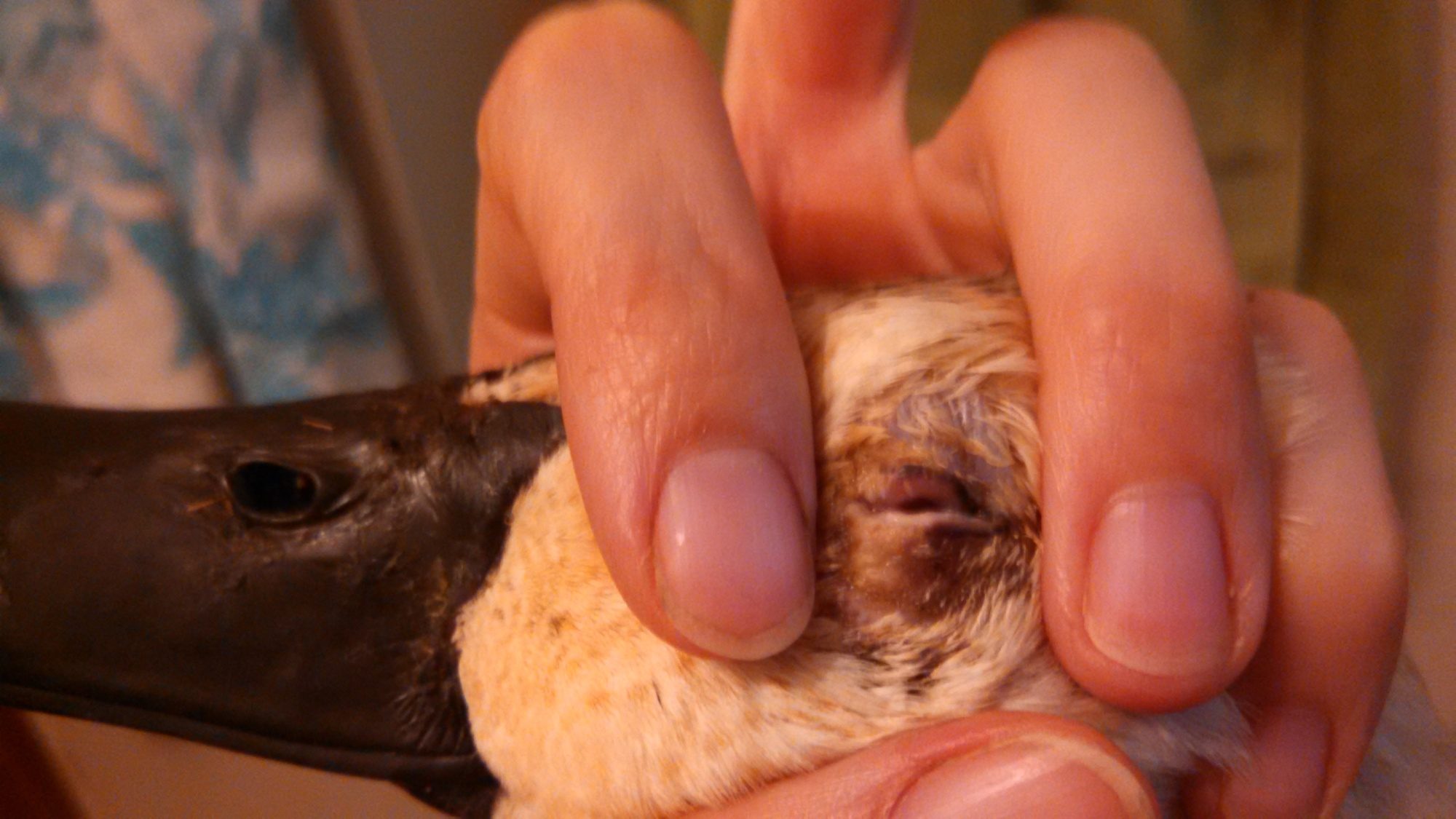 Could only open her eye very slightly