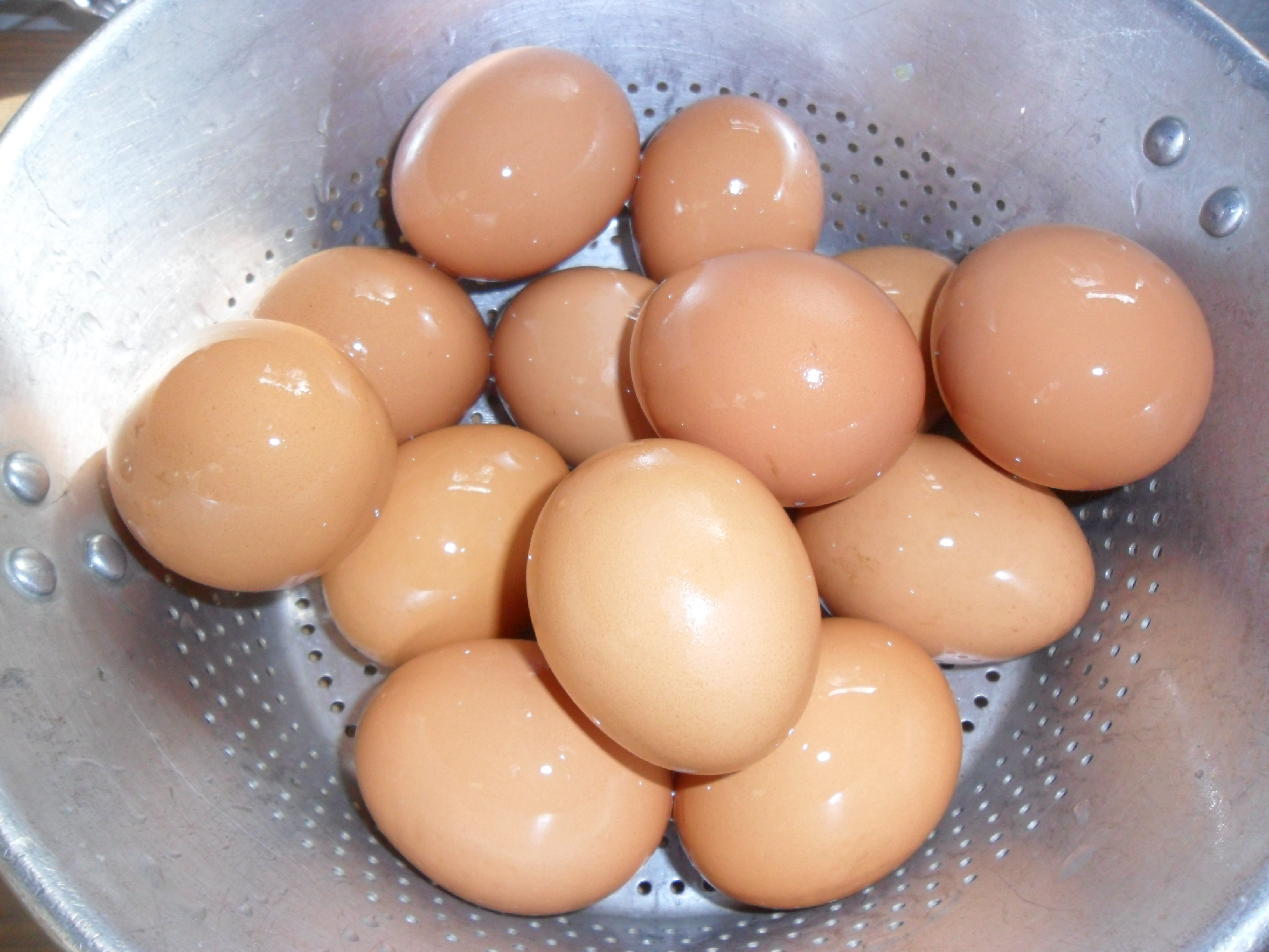Couldn't figure out why we weren't getting eggs then I saw two hens laying under our camping trailer hitch and ....... shazaaaaaaaaaaam!  15 eggs!