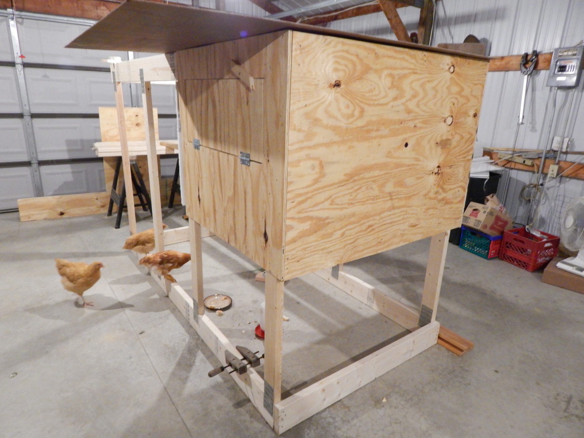 covering the coop area and cutting access doors for the chickens and the other side for nesting box access