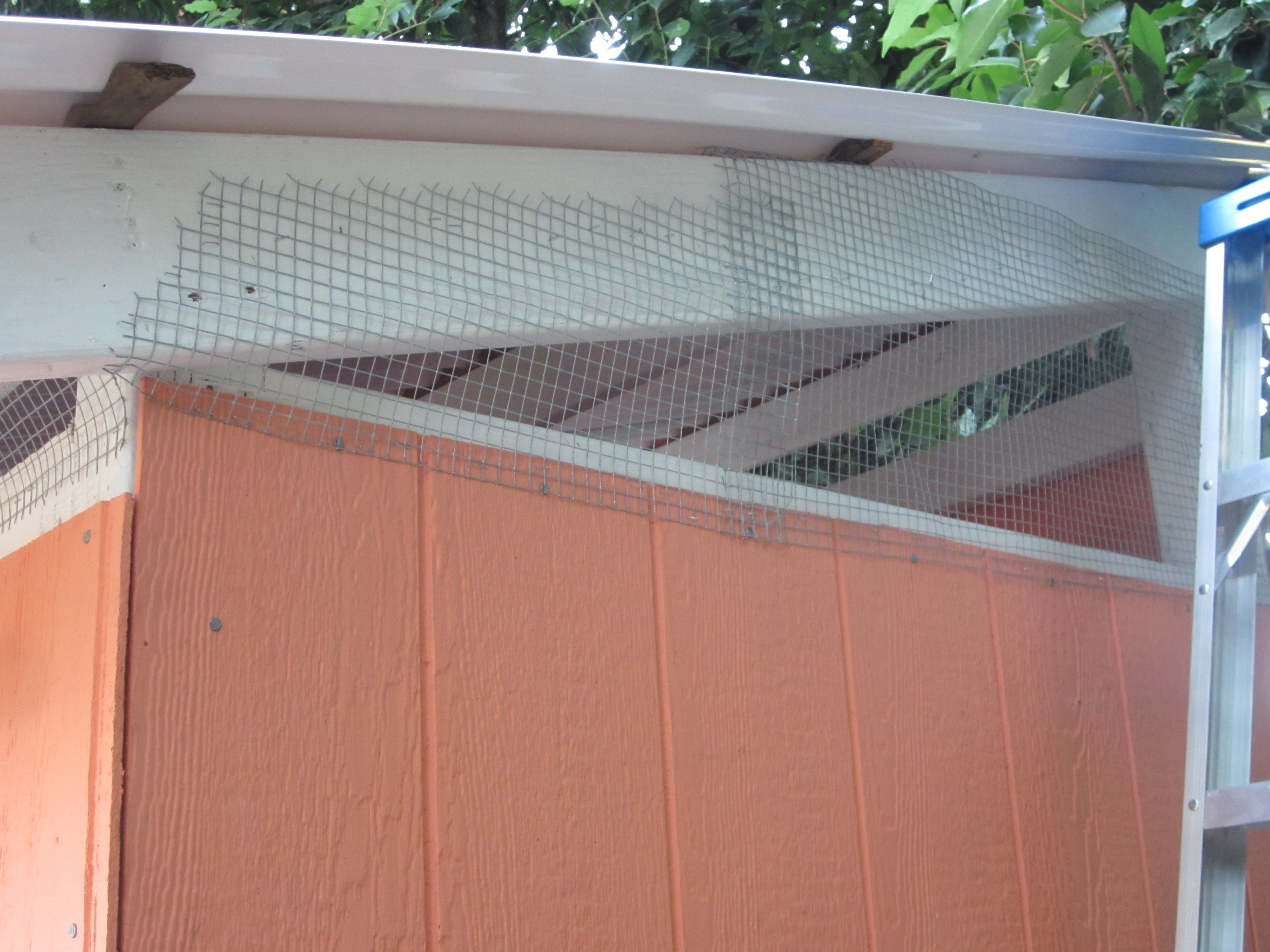 Covering up any holes with the hardware cloth. Plus this acts as a vent for the roost in the summer