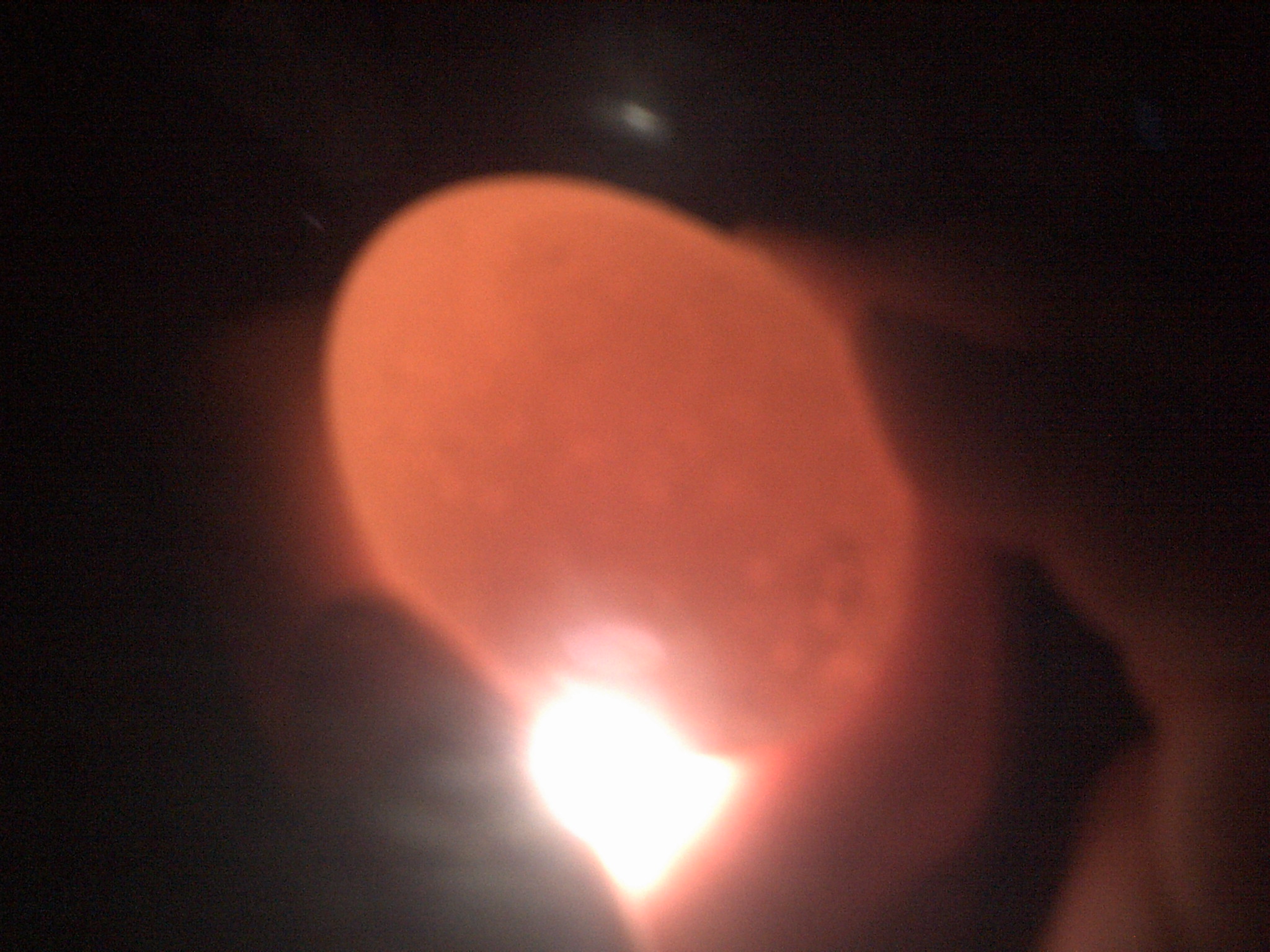 cream bantam egg looks clear :(