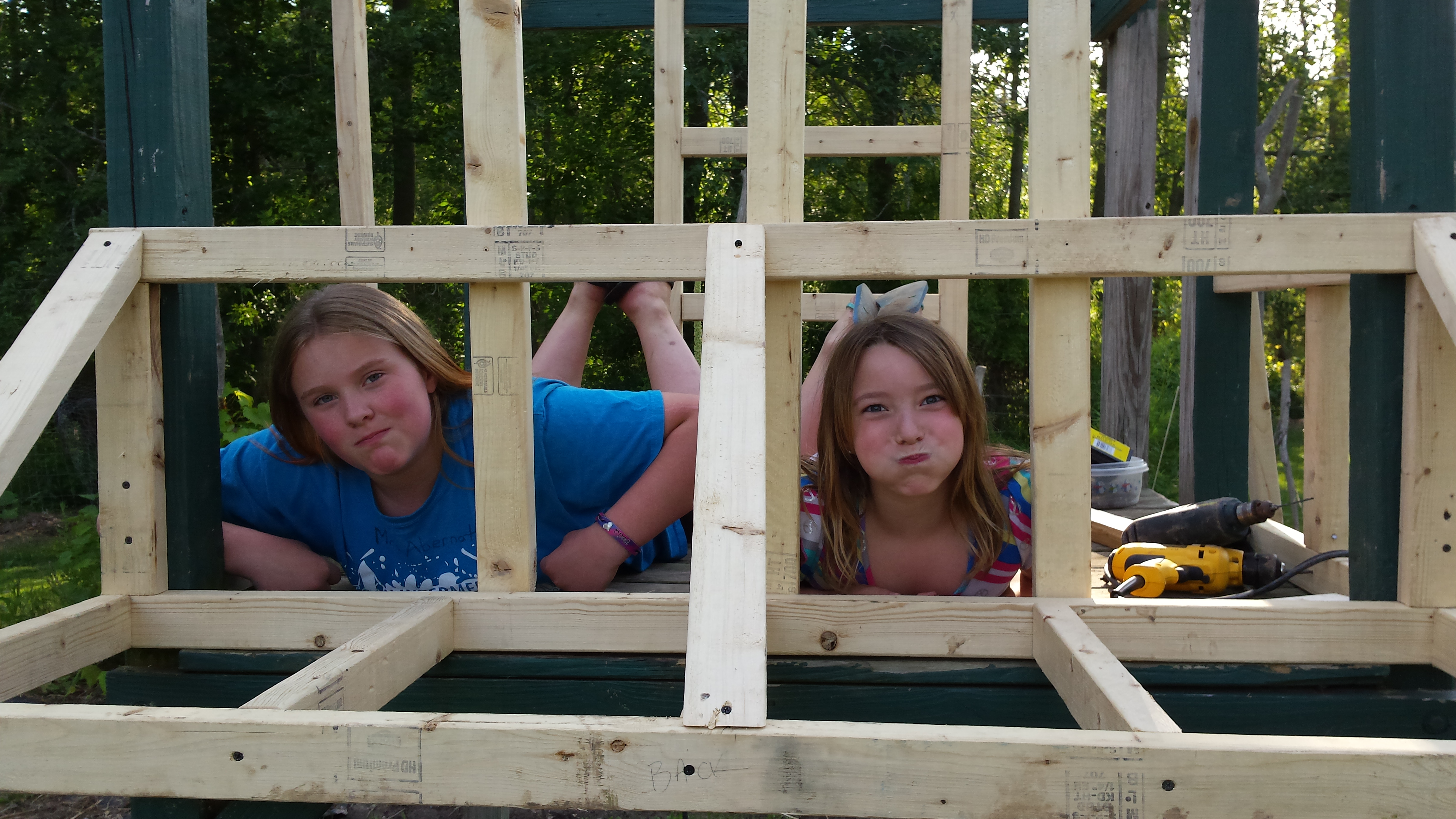 Created a nesting box