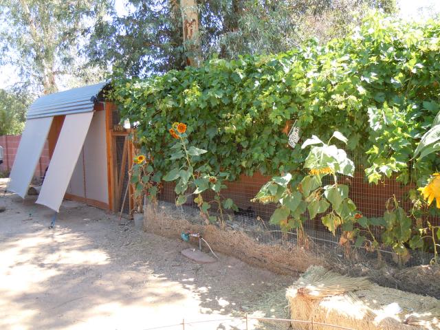 CREATOR: gd-jpeg v1.0 (using IJG JPEG v62), quality = 75