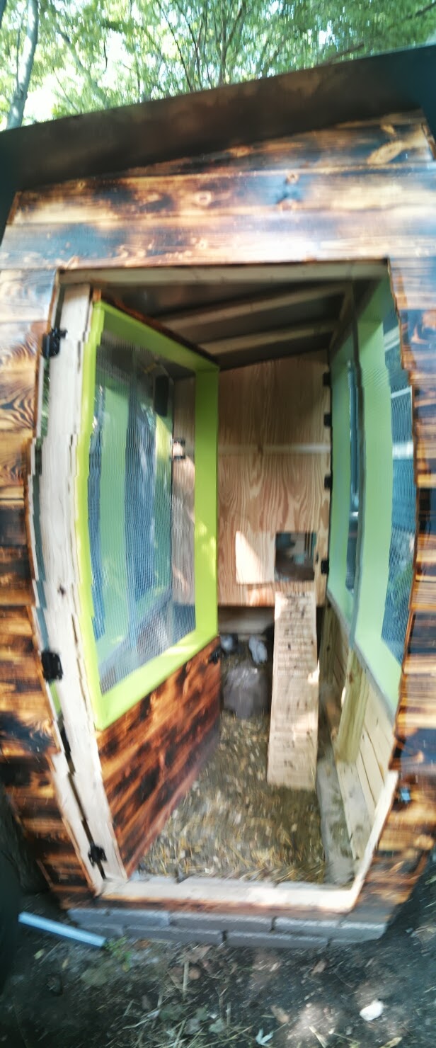 Cruddy, composite of the run door.