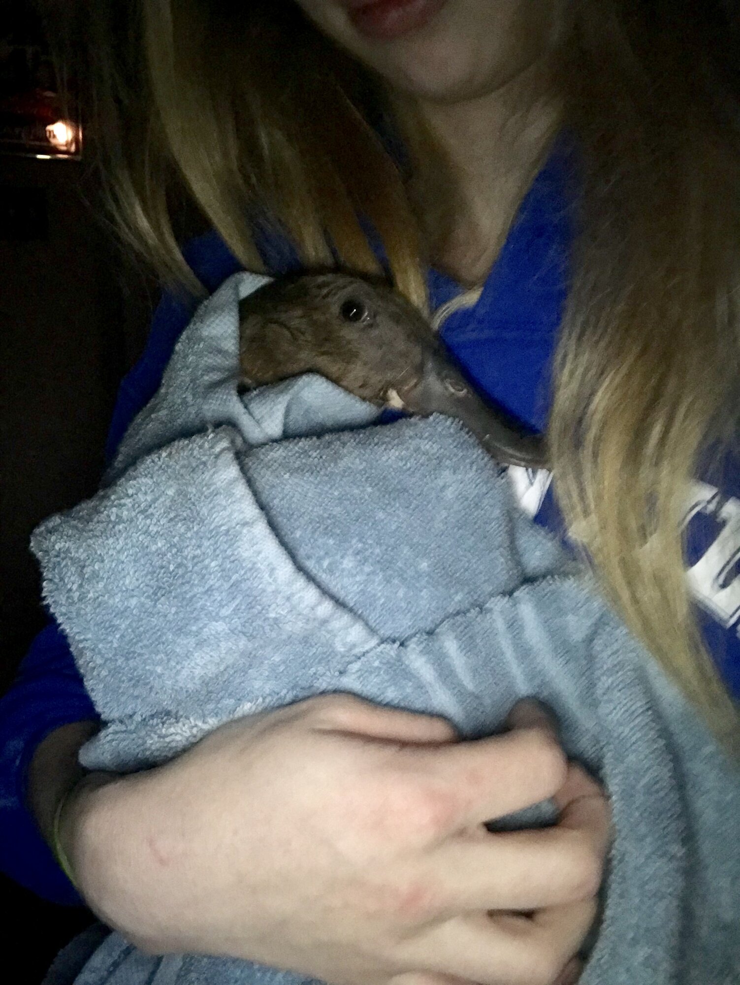 Cuddles after a bath!