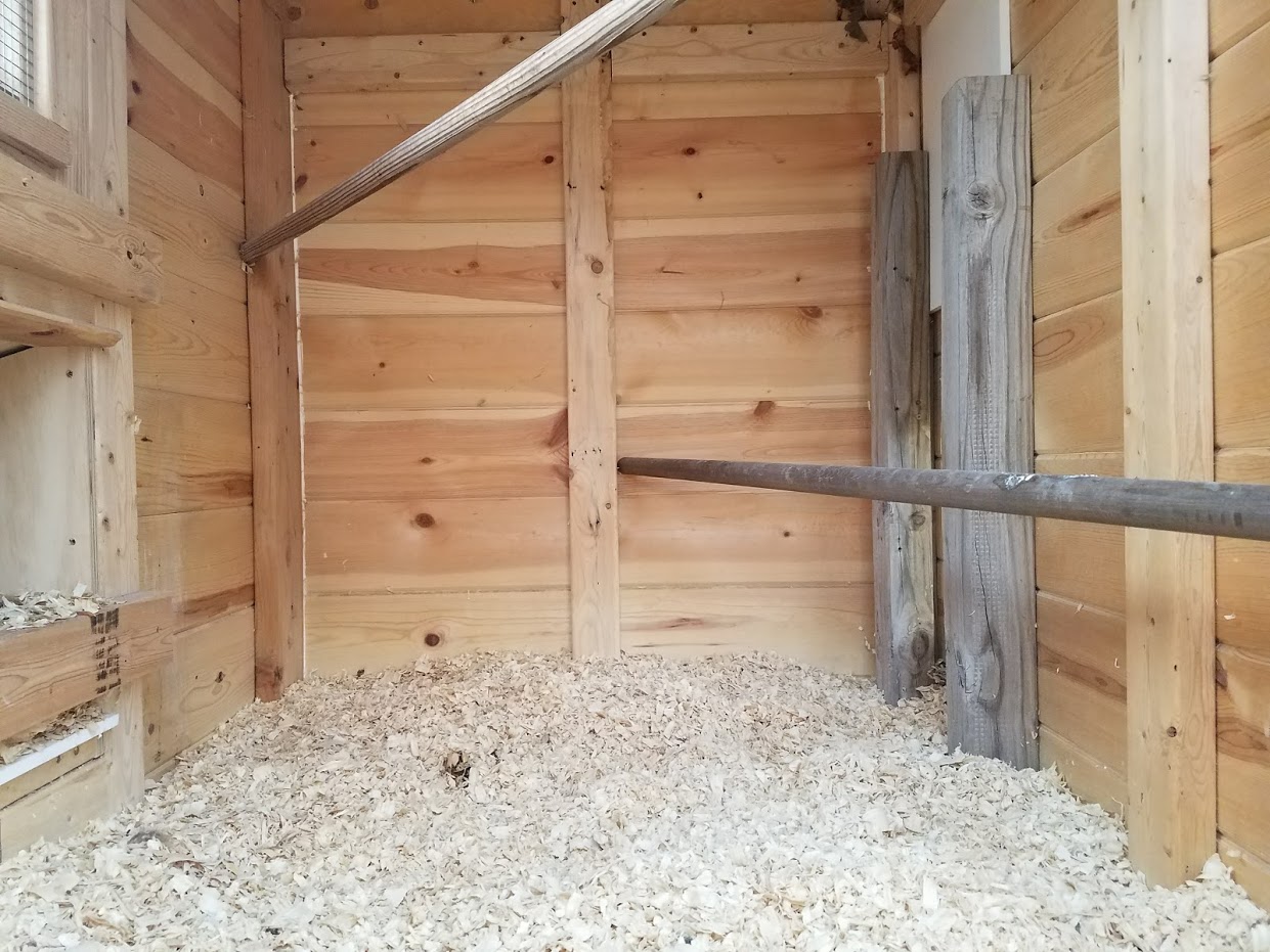 Culbertson Carmel Coop - roosting space