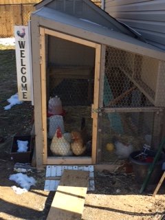 Cupid's Coop