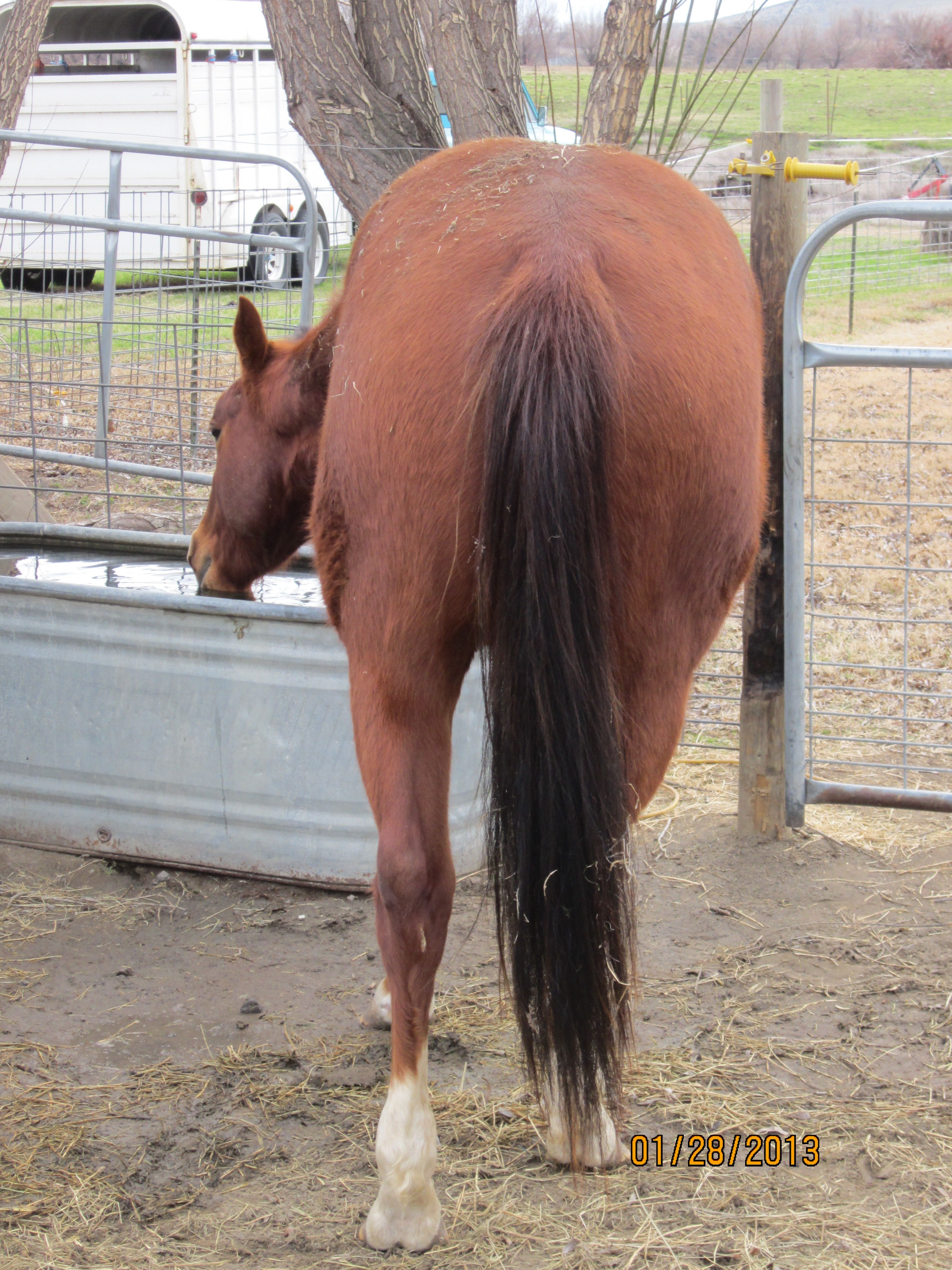 Current butt shot of our coming 3yr old :-) hehehehehe. I like big butts :-P