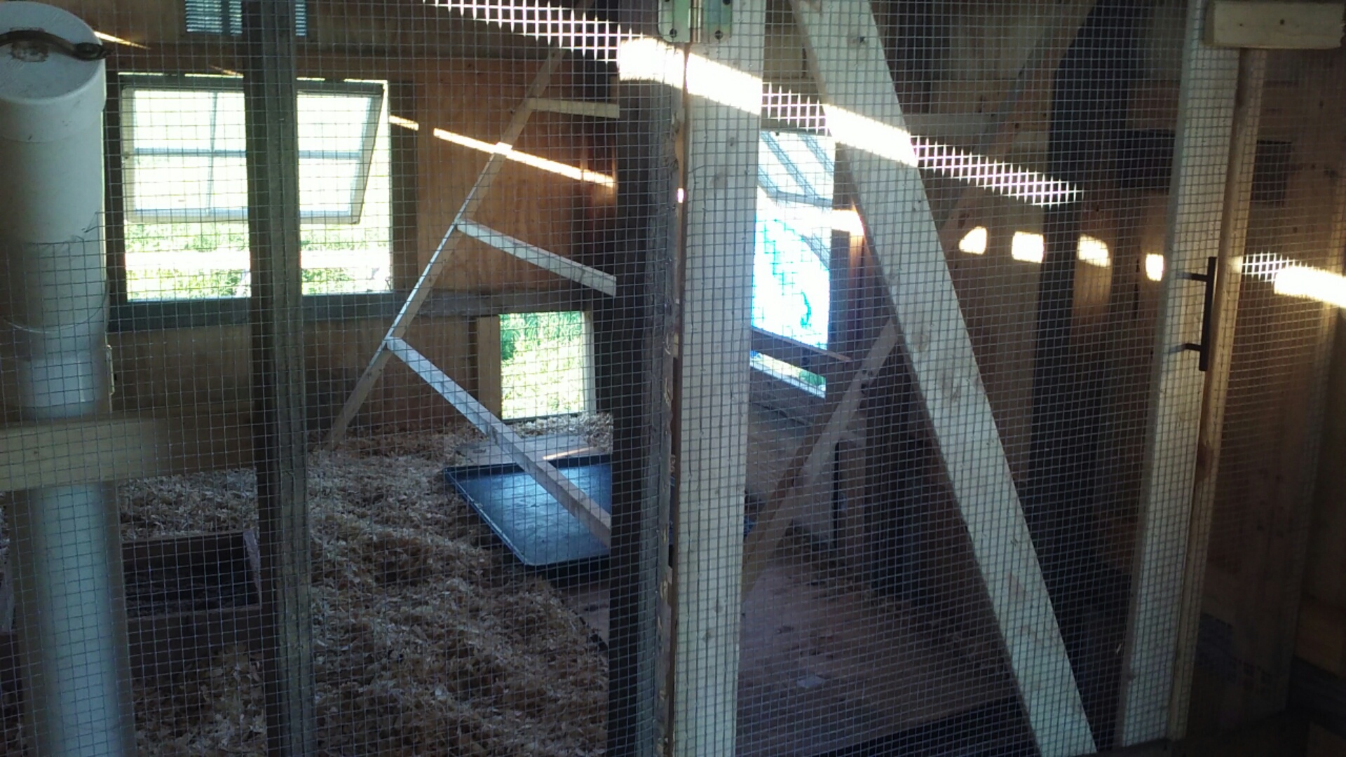 Custom door, 24' of roosting space. Based on the square foot of the coop portion I'm supposed to be able to comfortably hold 24 chicks. We will see...