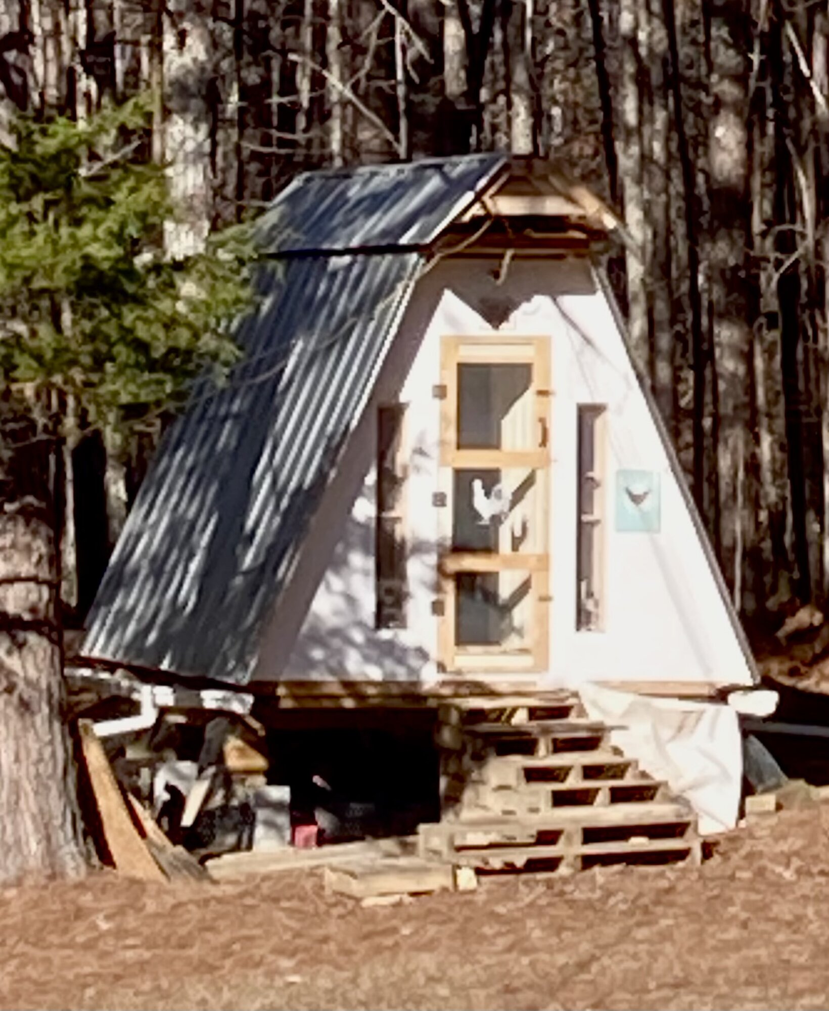 Custom self built A-Frame coop