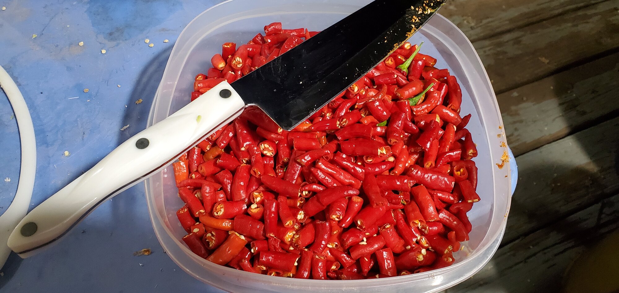 Cut Serrano Peppers, ready for the freezer