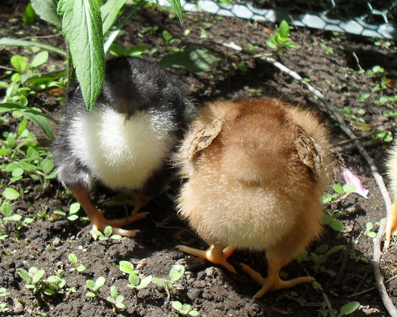 cute butts