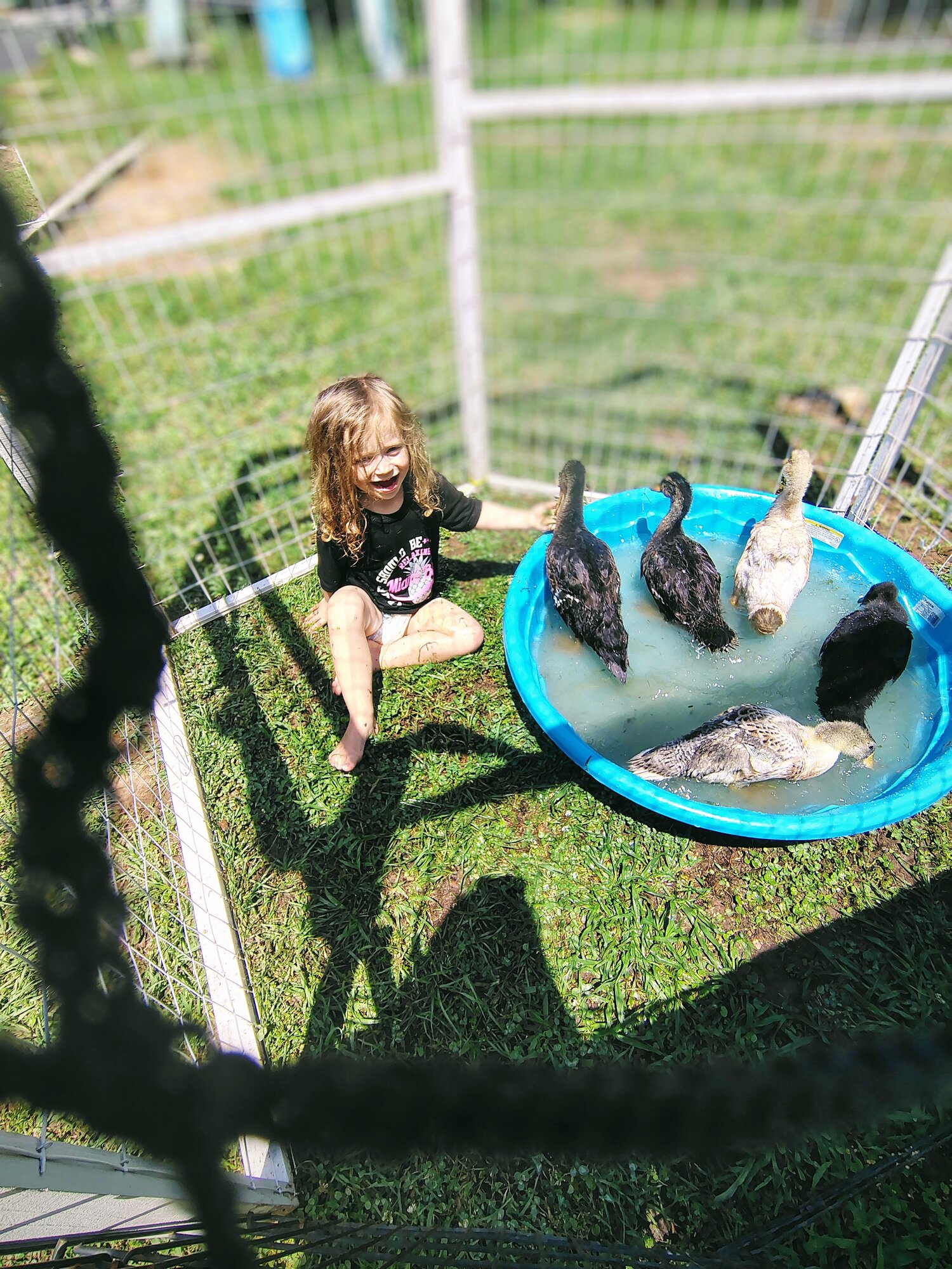 Cutest Baby Fowl Photo Contest—16th Annual 281.jpg
