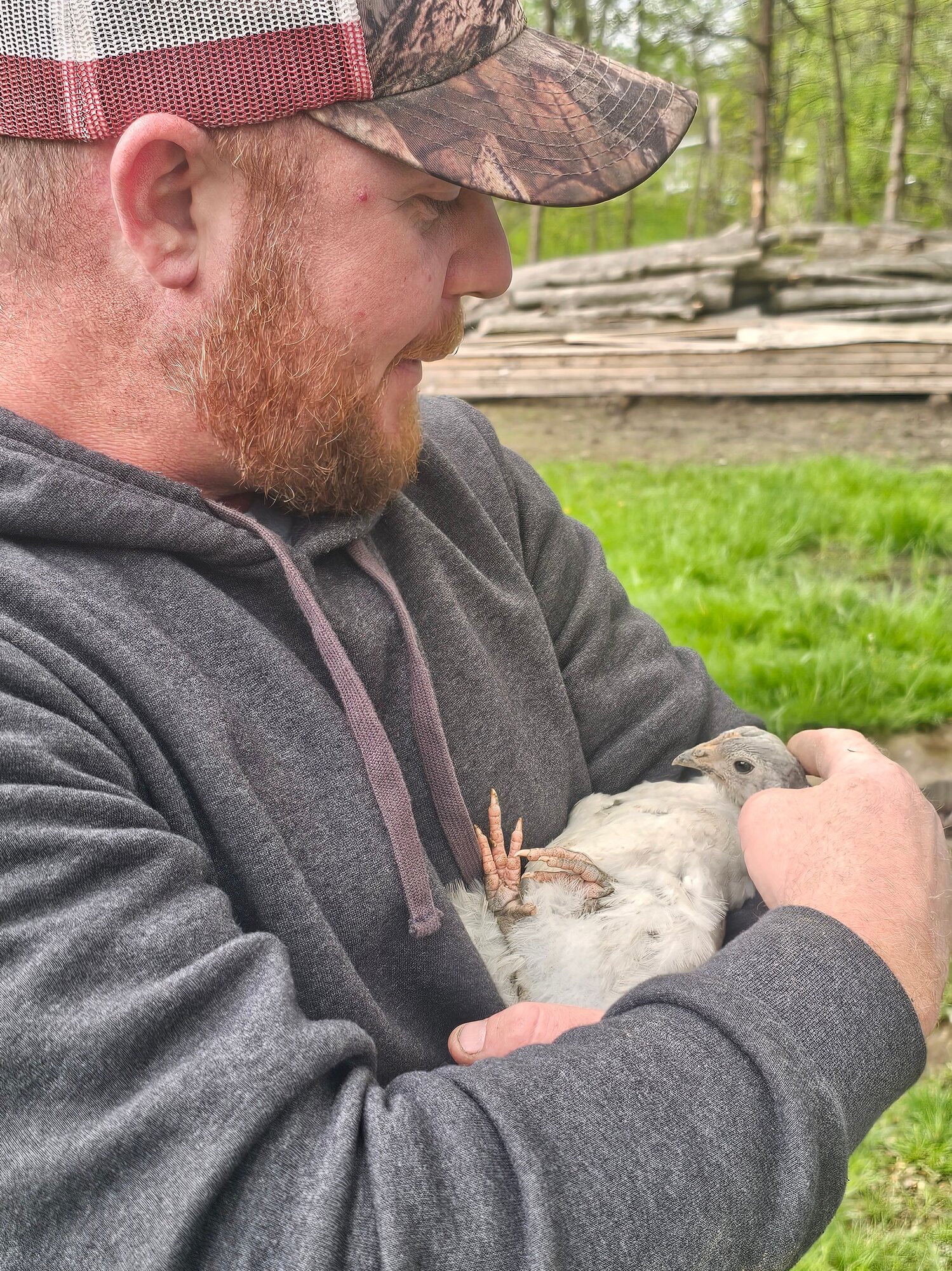 Cutest Baby Fowl Photo Contest—16th Annual 287.jpg