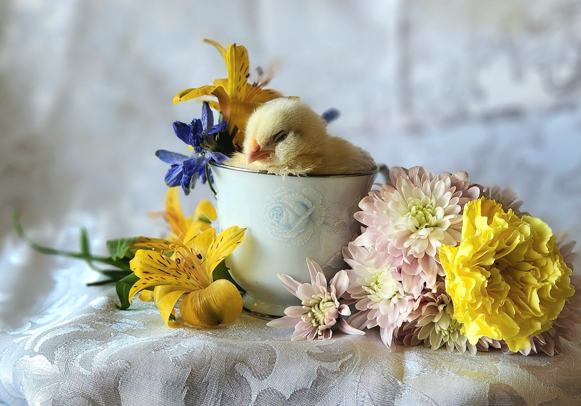 Cutest Baby Fowl Photo Contest—16th Annual 424.jpg