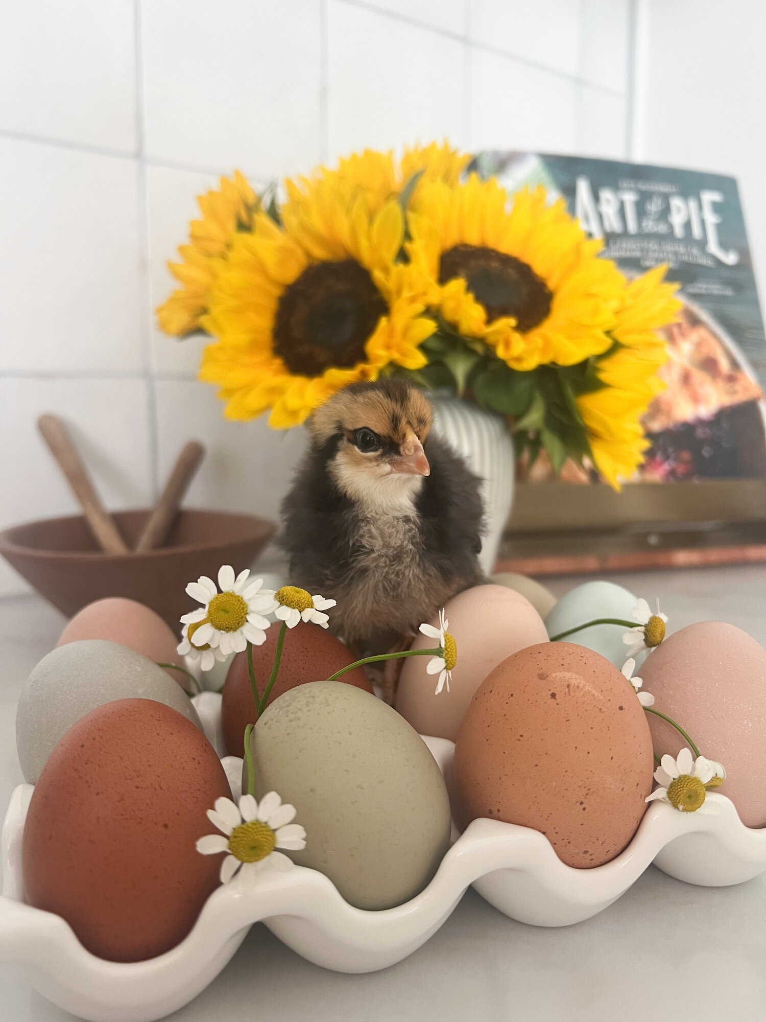 Cutest Baby Fowl Photo Contest—16th Annual 5.jpg