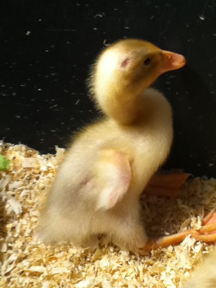 Cutie pie!