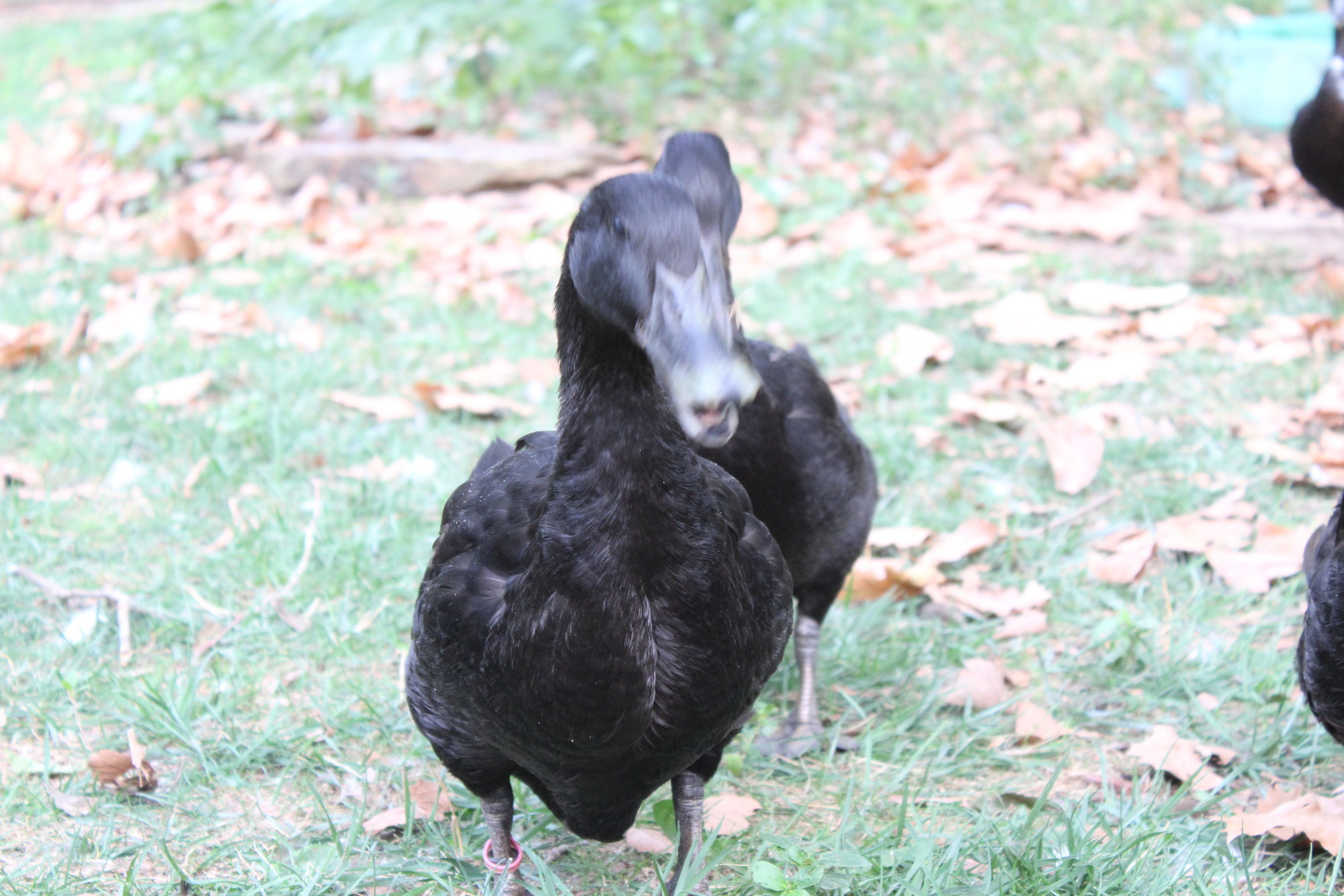 D6923476-71CC-48BD-A204-8A16E3E12434