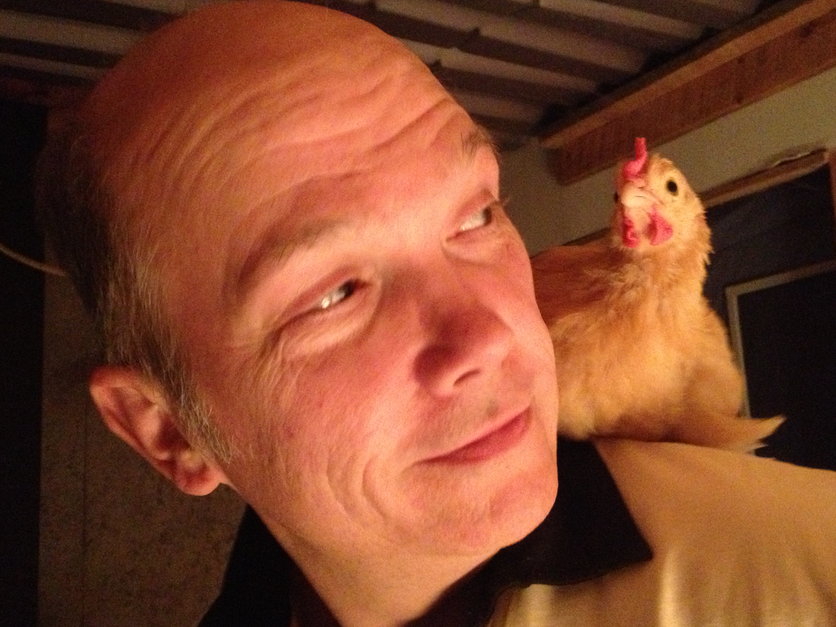 Dad makes a pretty good perch