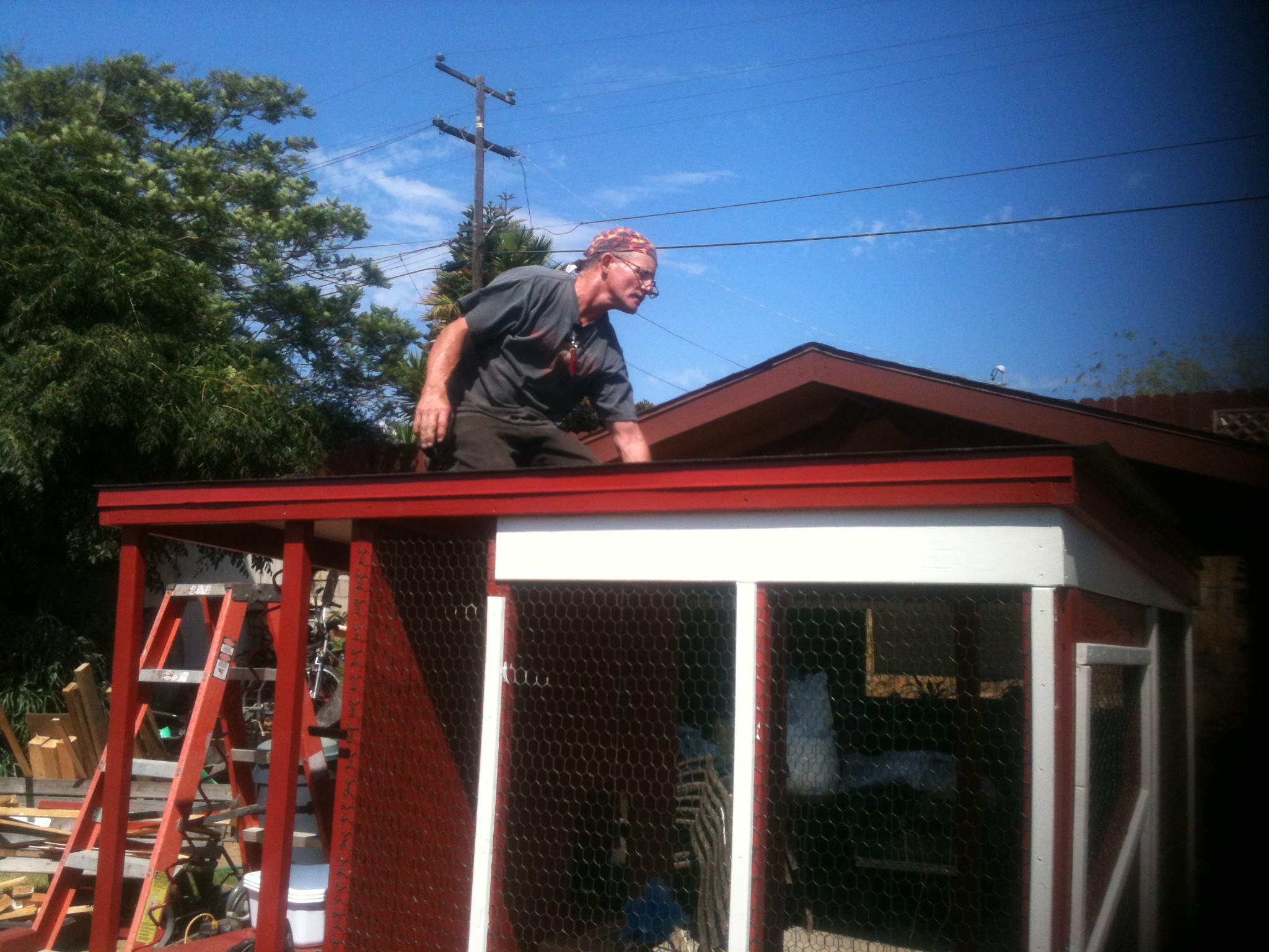 Dad roofing the coop