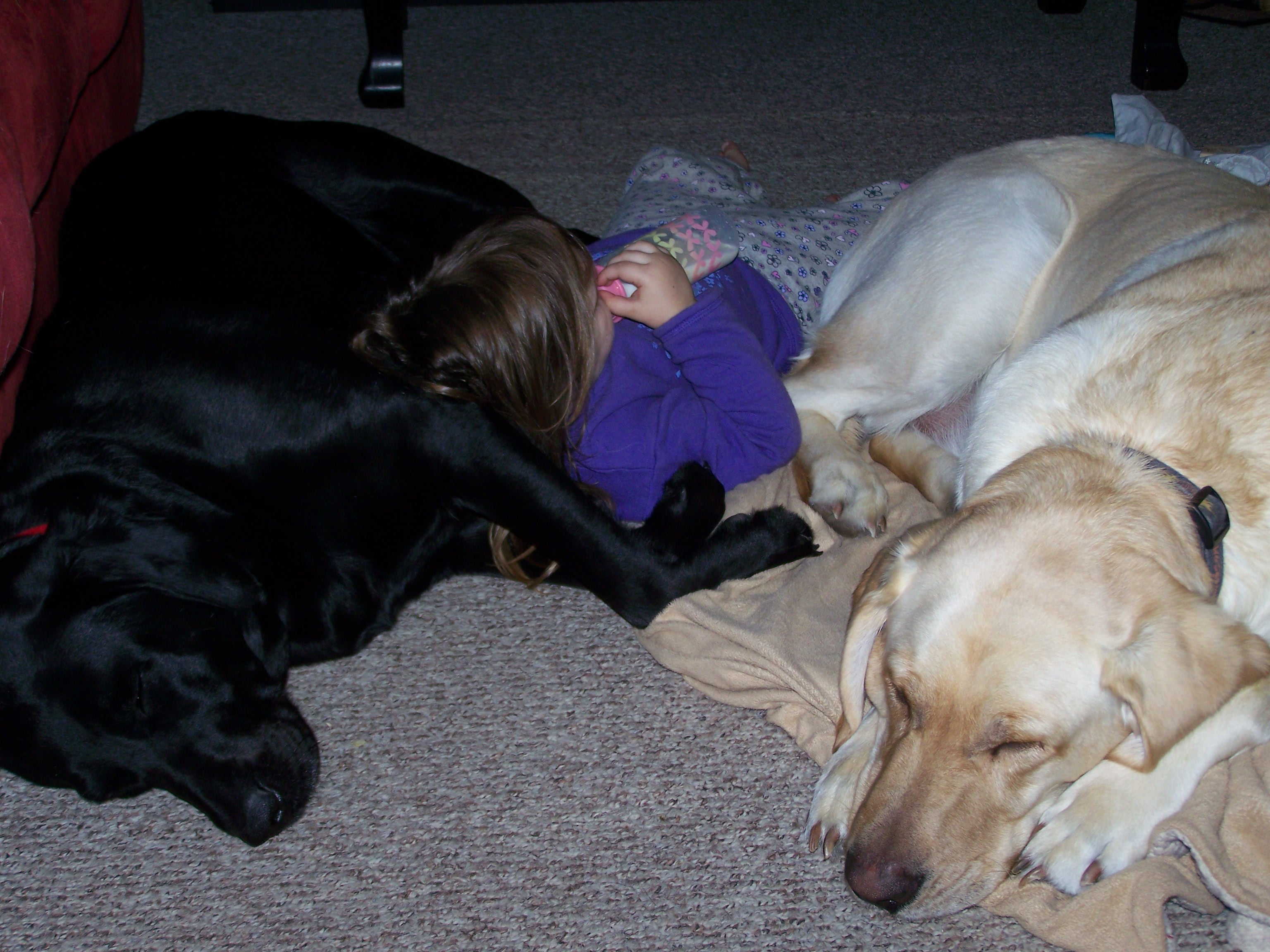 Daisy and Duke babysitting.