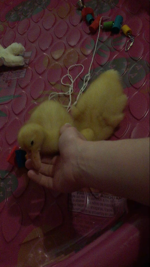 Daisy/Daffy <3