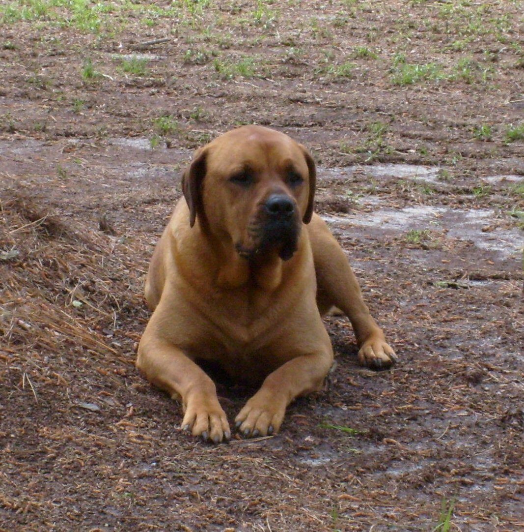 Daisy Mae.