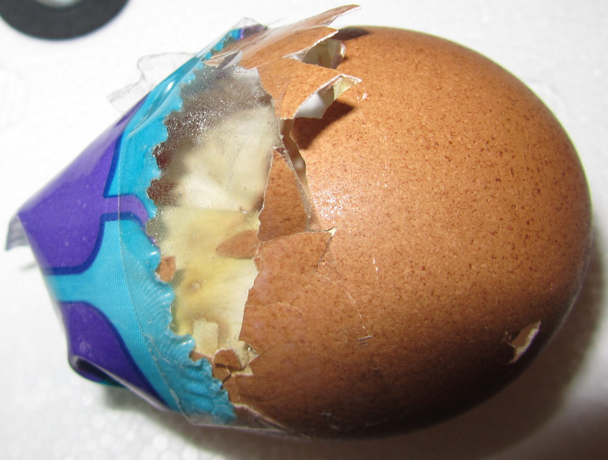 Damage on the other side.  Also large amount of shell missing.