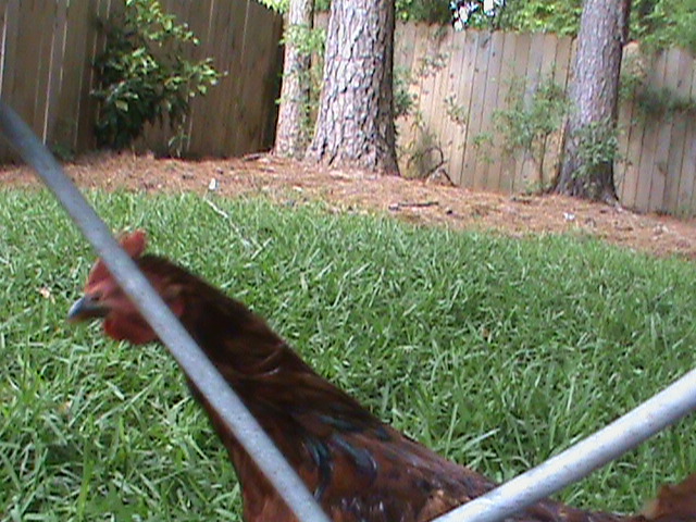 Dan got jealous and wanted more pics