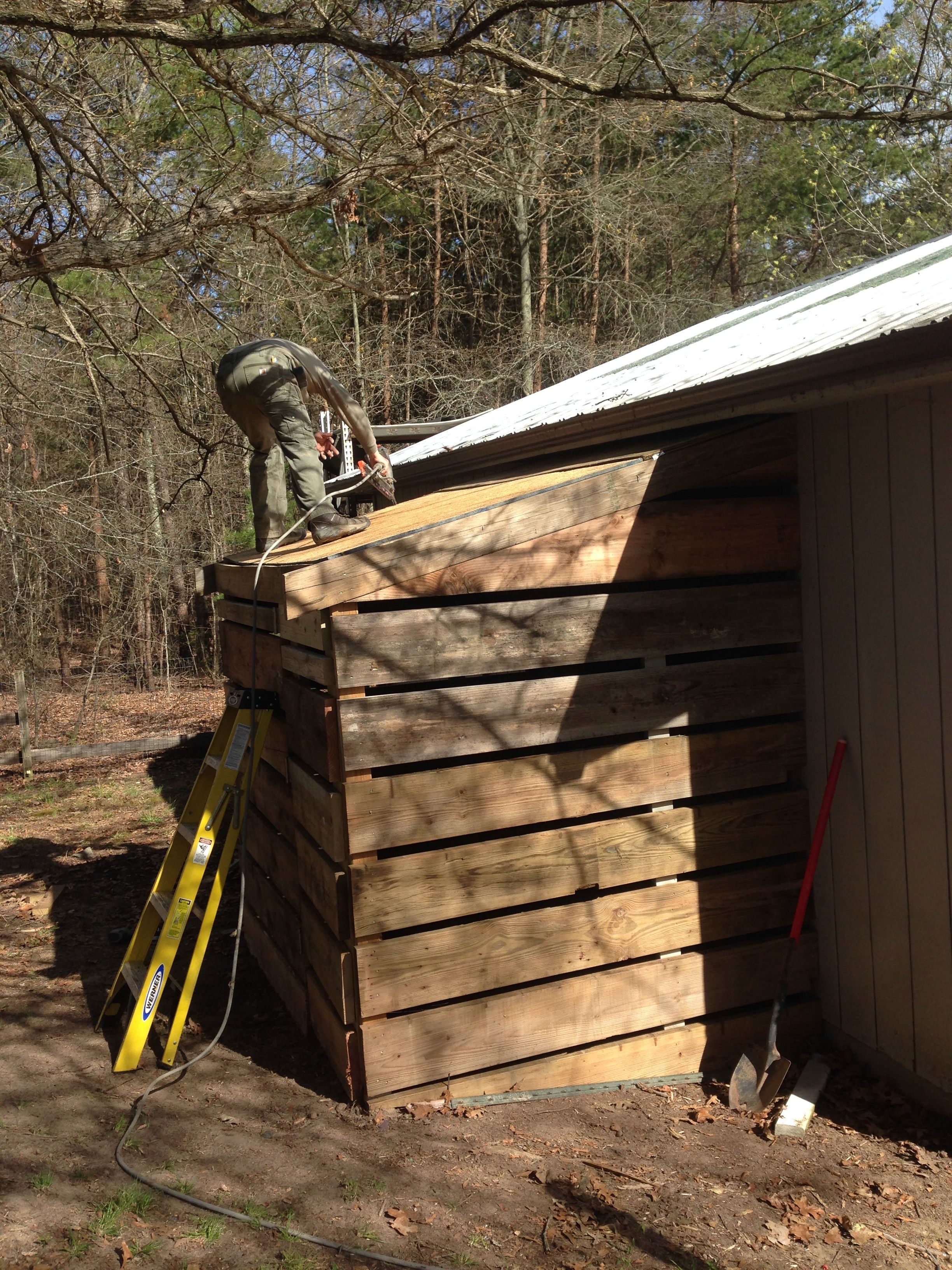 Dan putting the shingles on the new coop!
