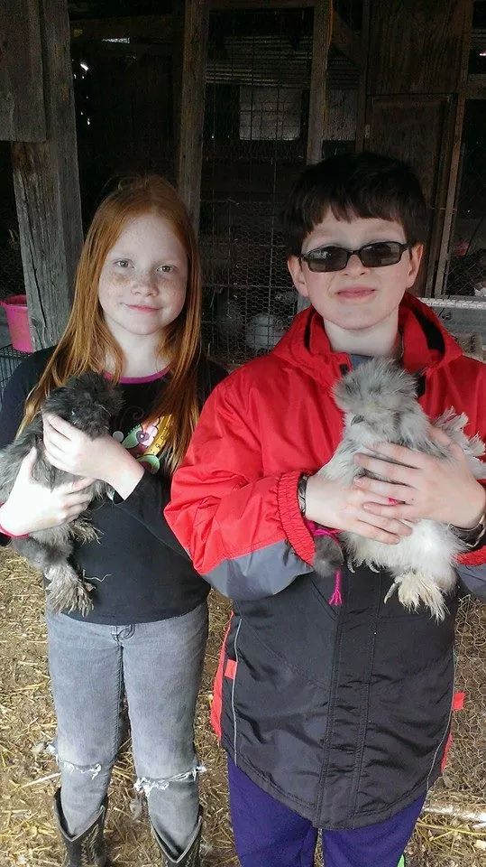 Dani with BIlly Idol our silkie roo and my nephew Gus with his silkie Twichy.