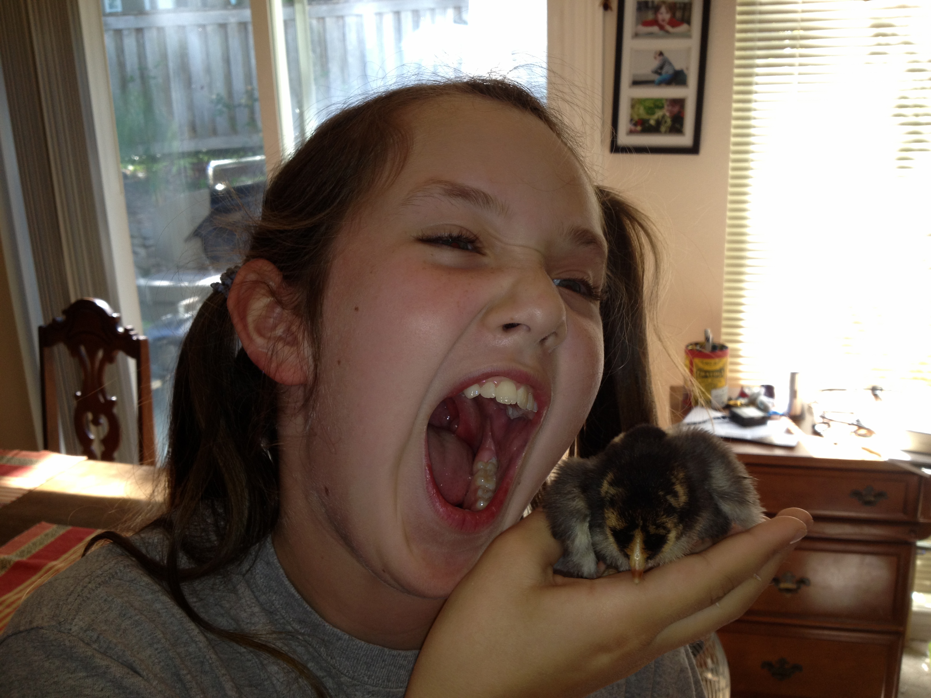 Daughter + Gold Nugget