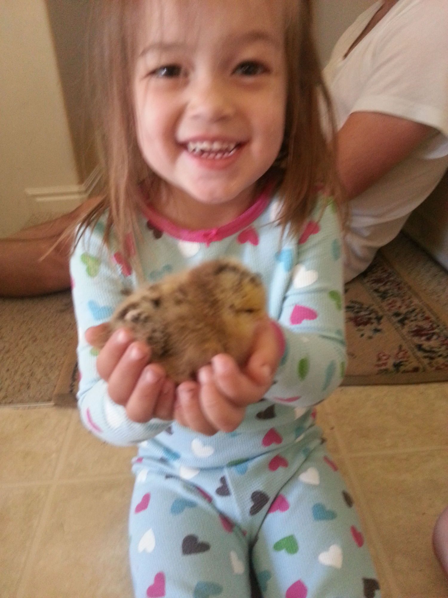 Daughter holding our chubby Buff Orpington.